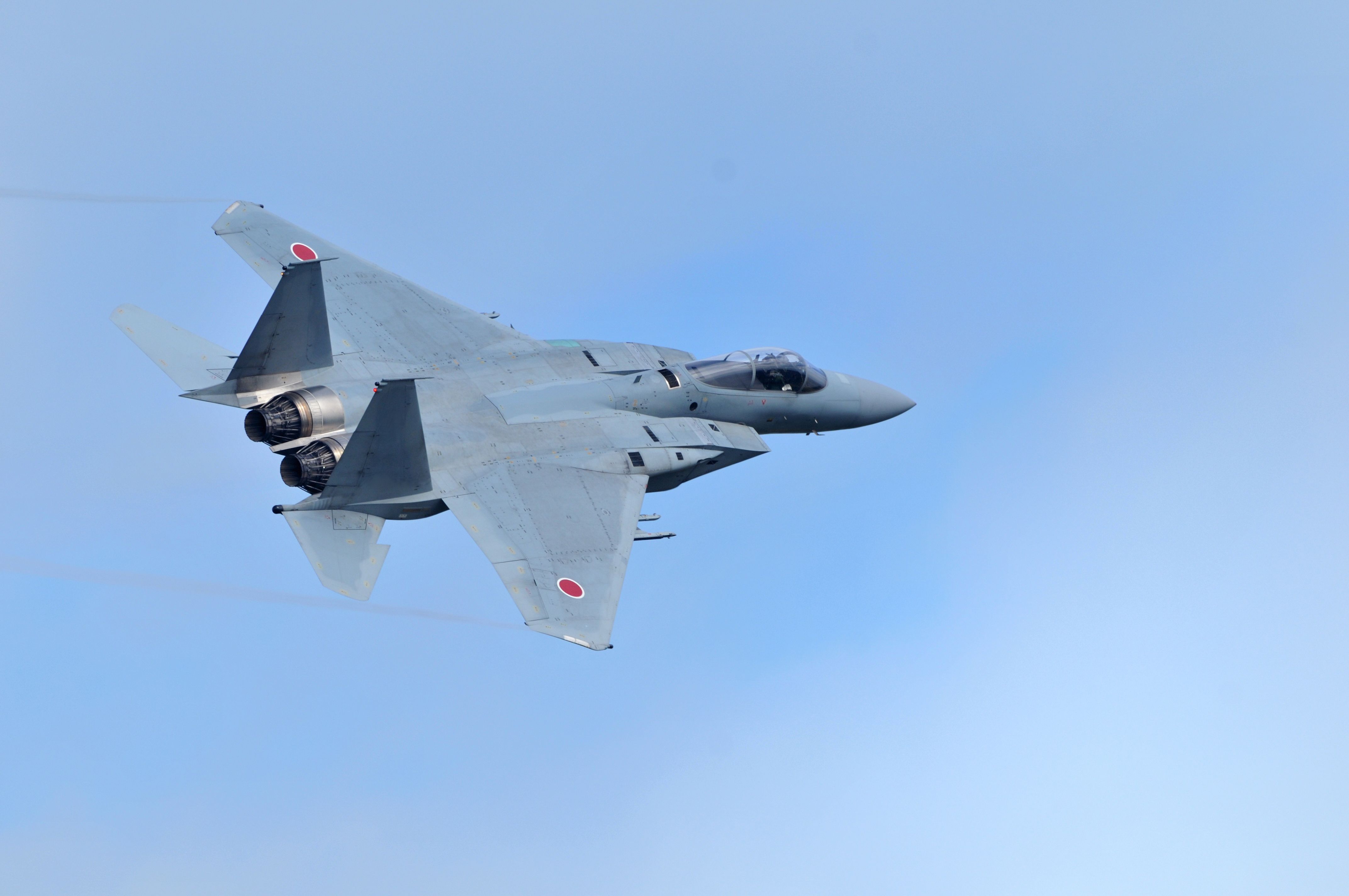 Japan Air Self-Defense Force F-15 fighter.