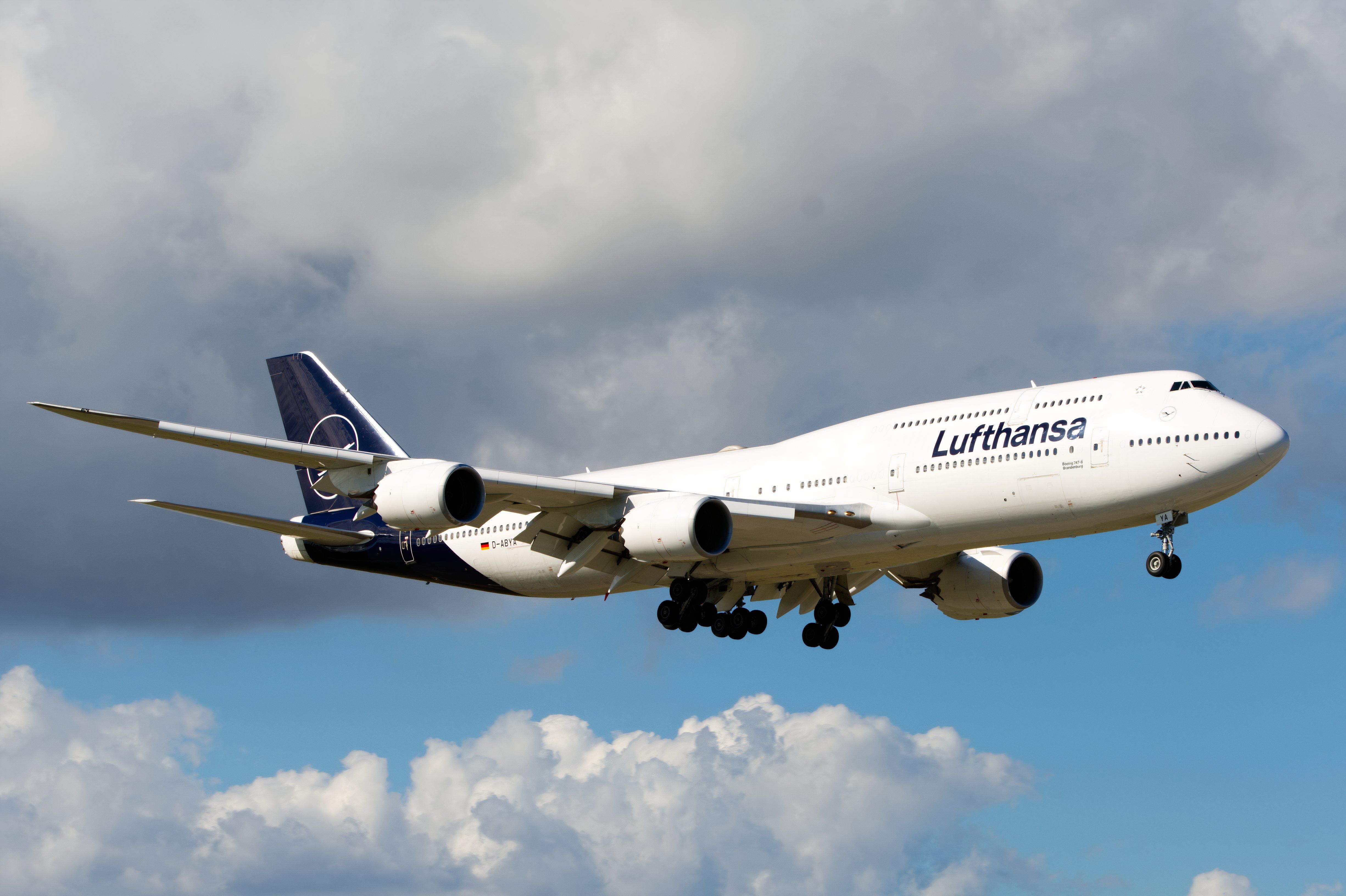 Lufthansa 747-8 Landing at Miami (New Livery)