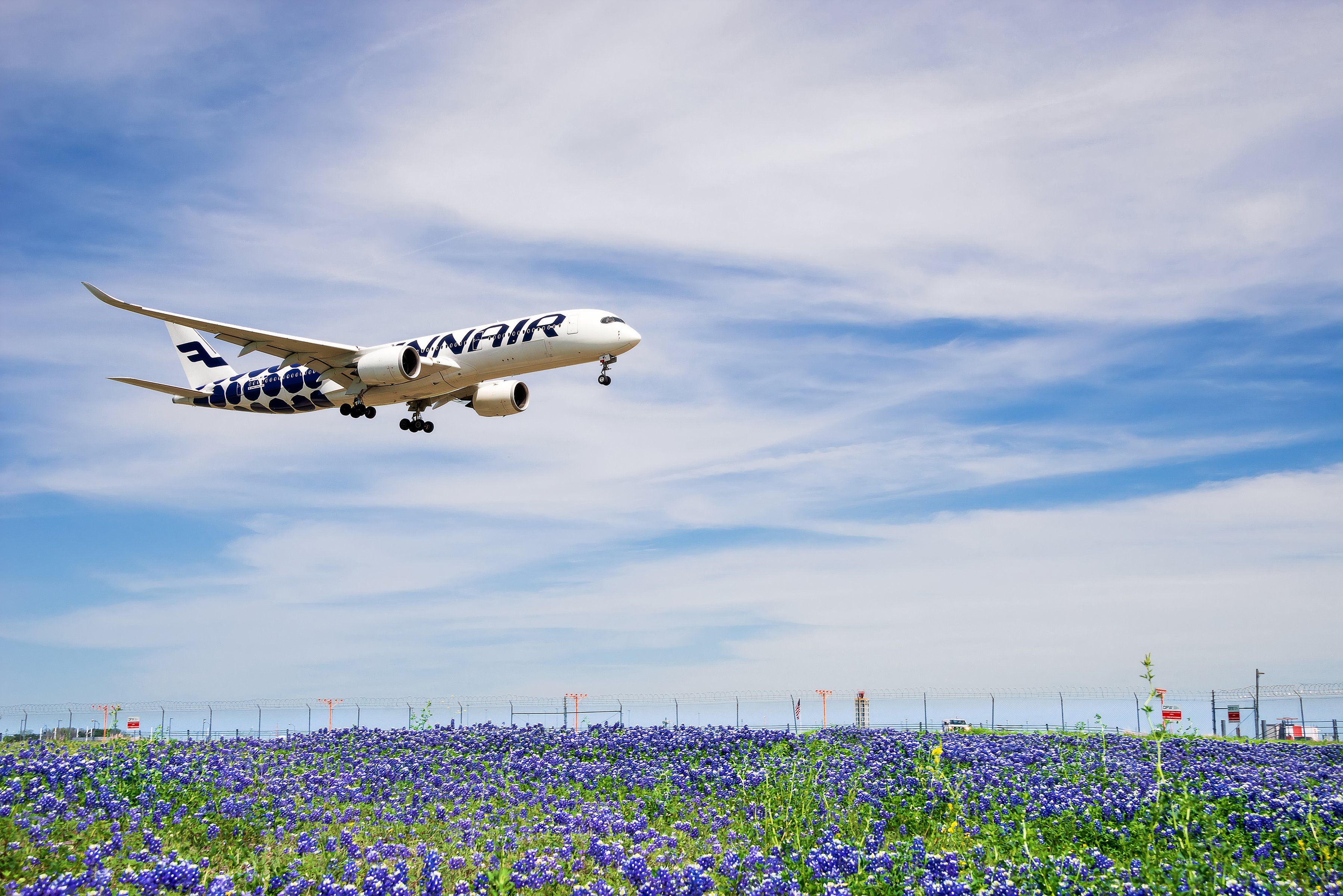 A Finnair Airbus A350-900 from Helsinki lands at Dallas Fort Worth International Airport (DFW) over a Texas bluebonnet field with blue skies and white clouds