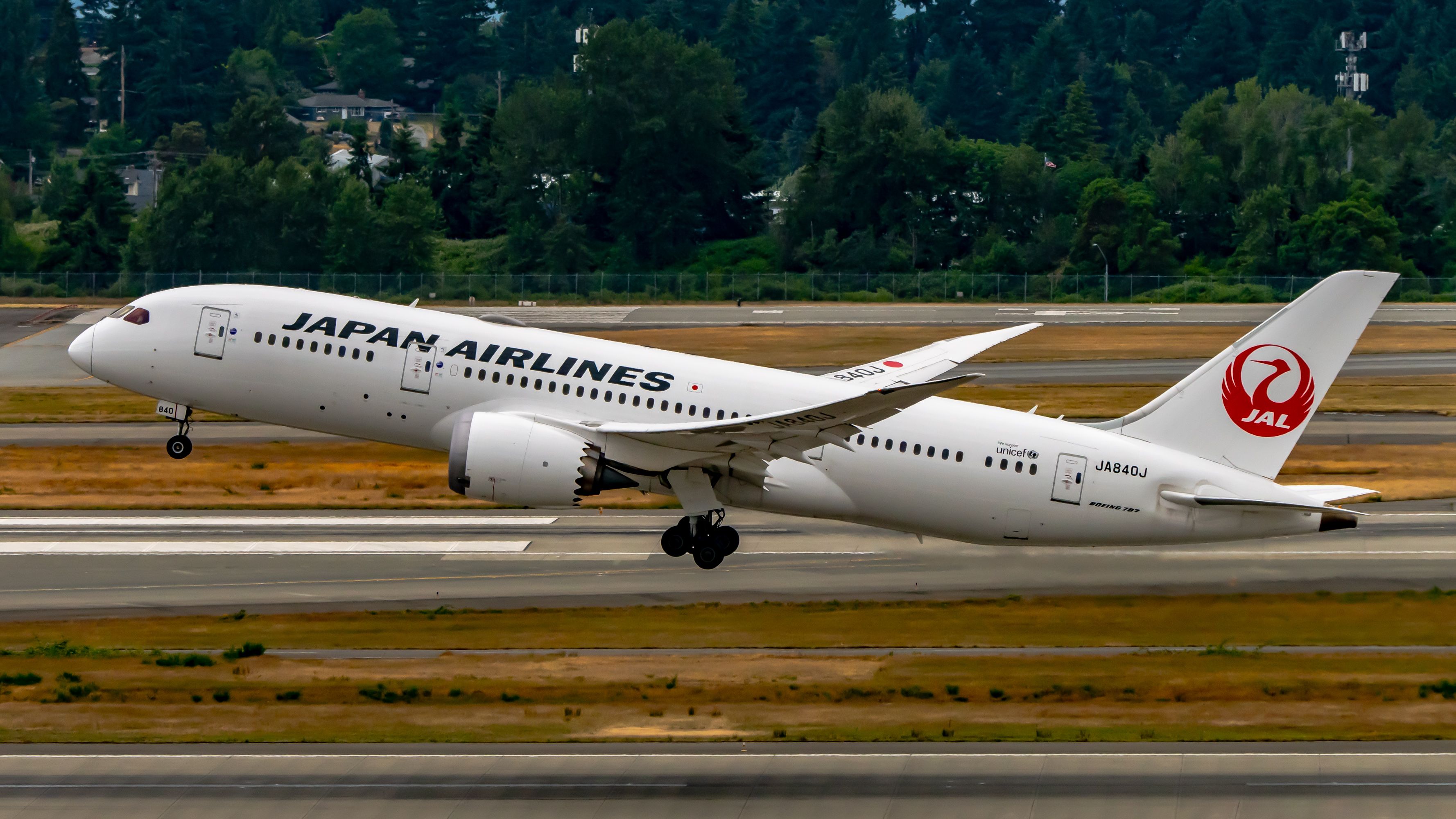 JAL - JAL BOEING 787