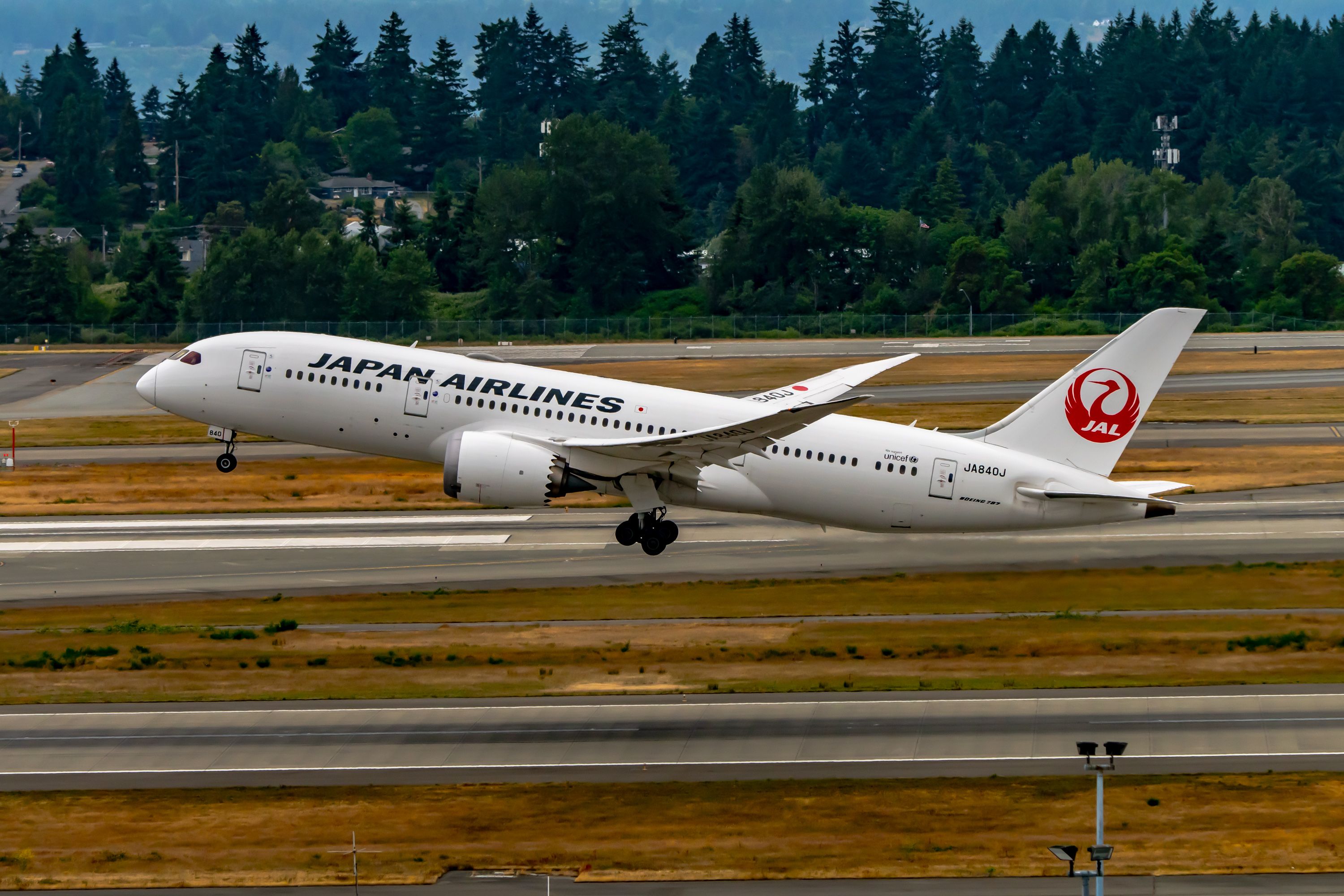 Japan Airlines Boeing 787 taking off.