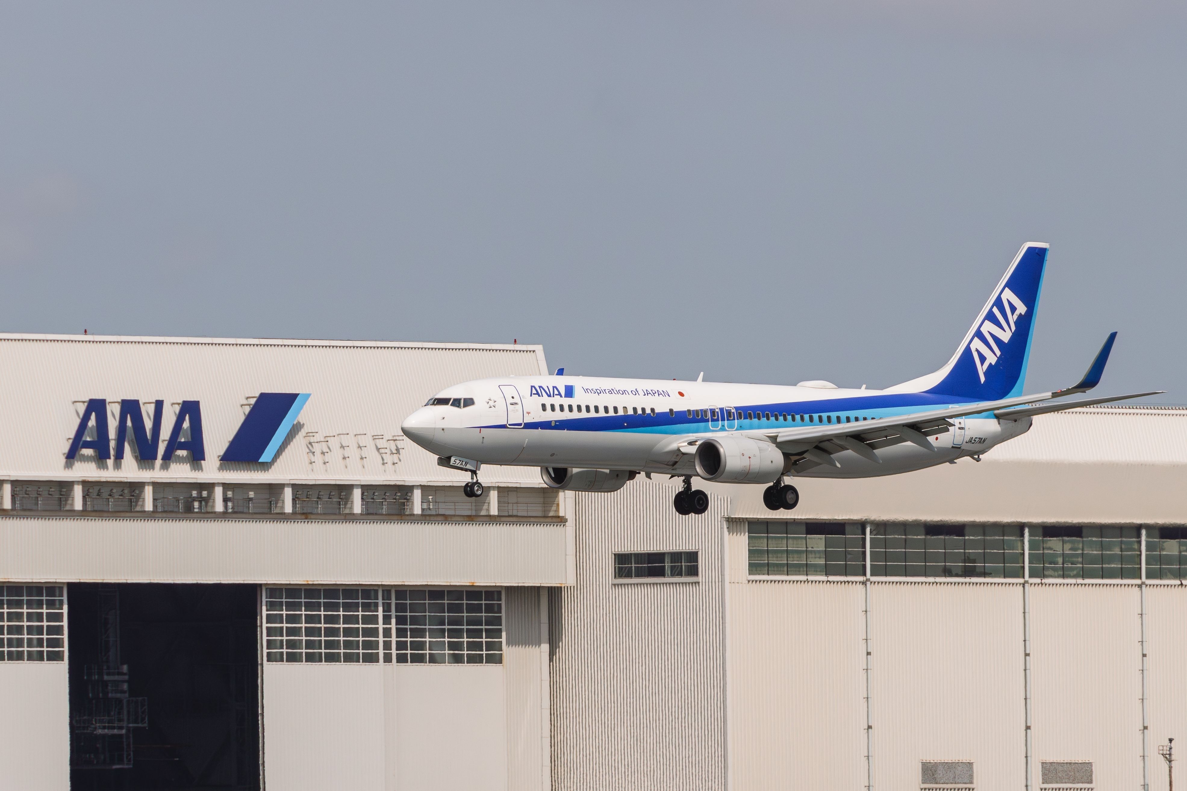 All Nippon Airways Boeing 737-800 landing at HND shutterstock_2474878411