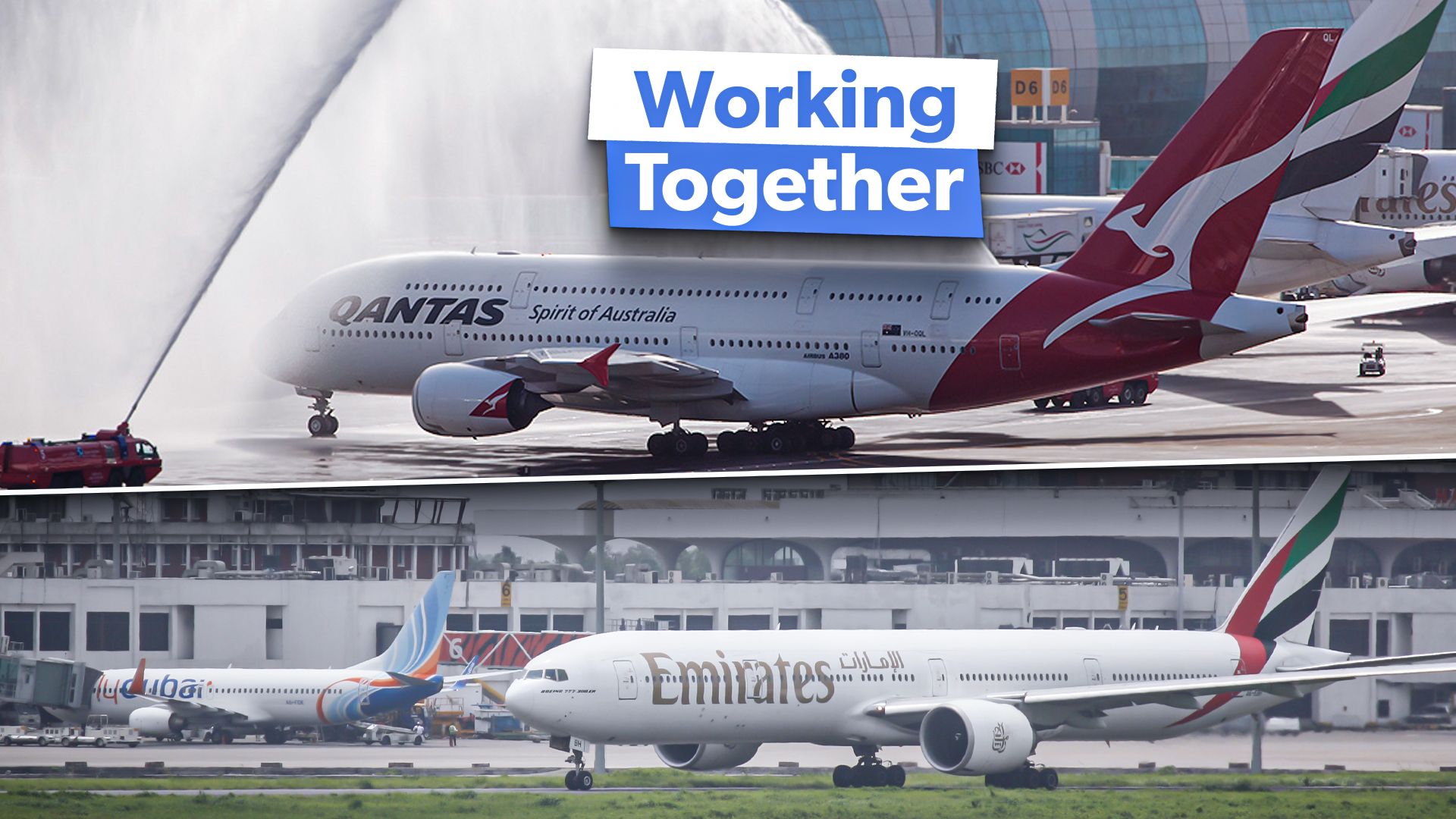 Examined The Airlines That Emirates Has Codeshare Agreements With
