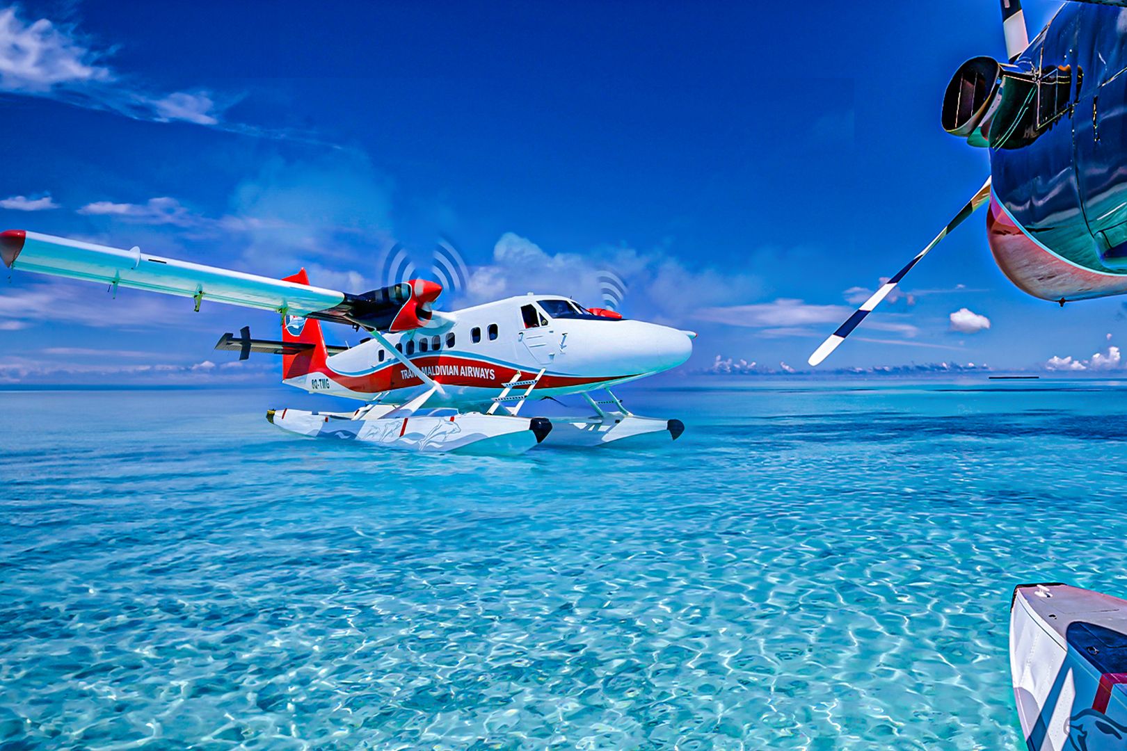 Trans Maldivian Airways Custom Thumbnail