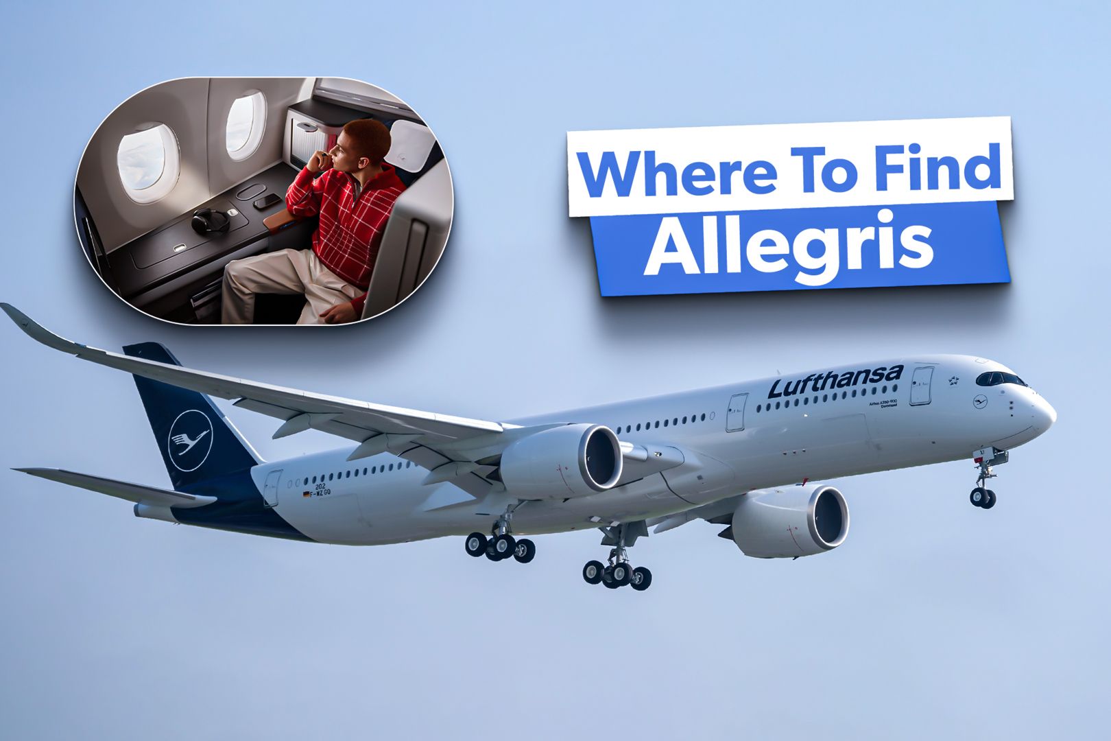 Lufthansa Flights With Allegris Custom Thumbnail