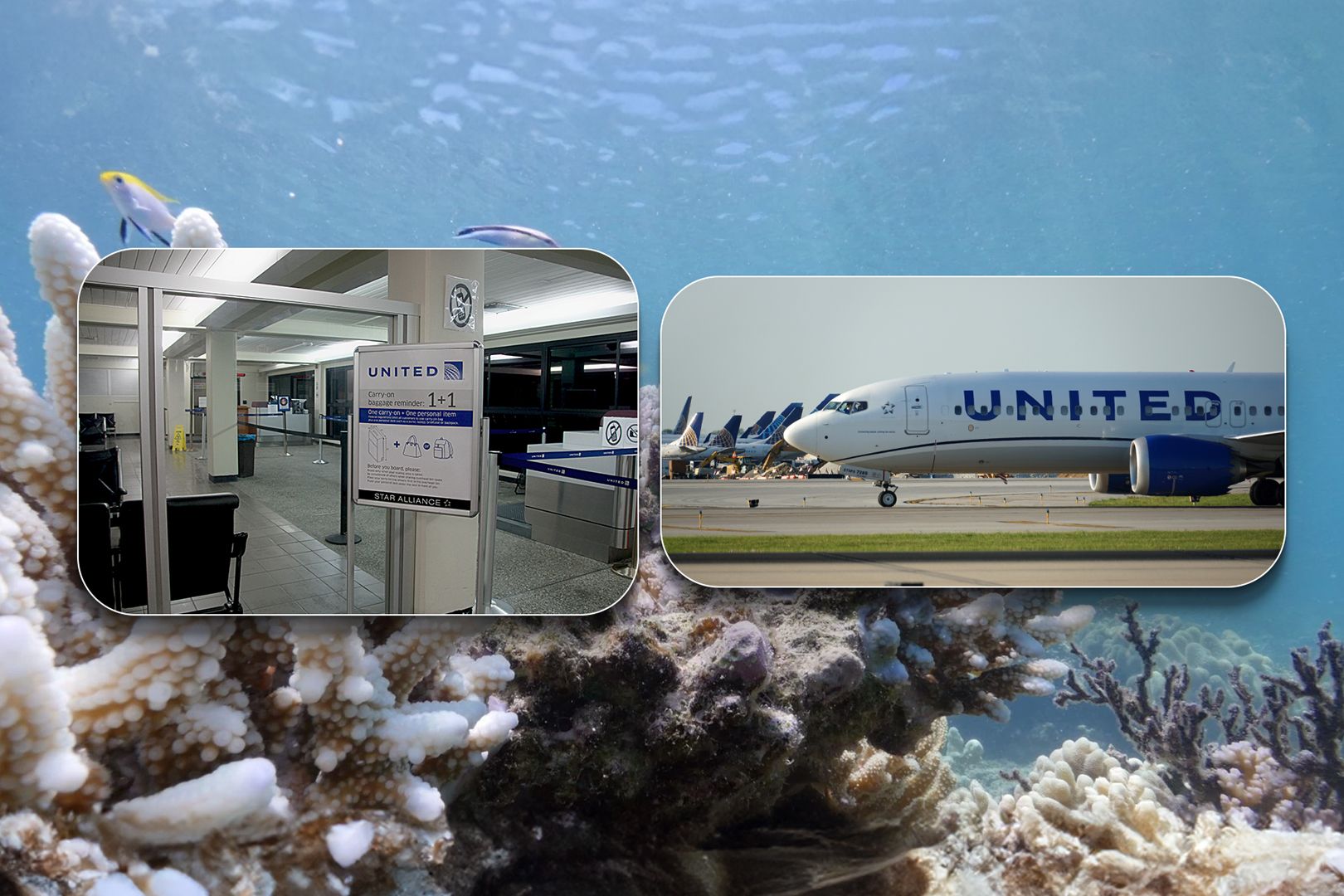 United Airlines micronesia.