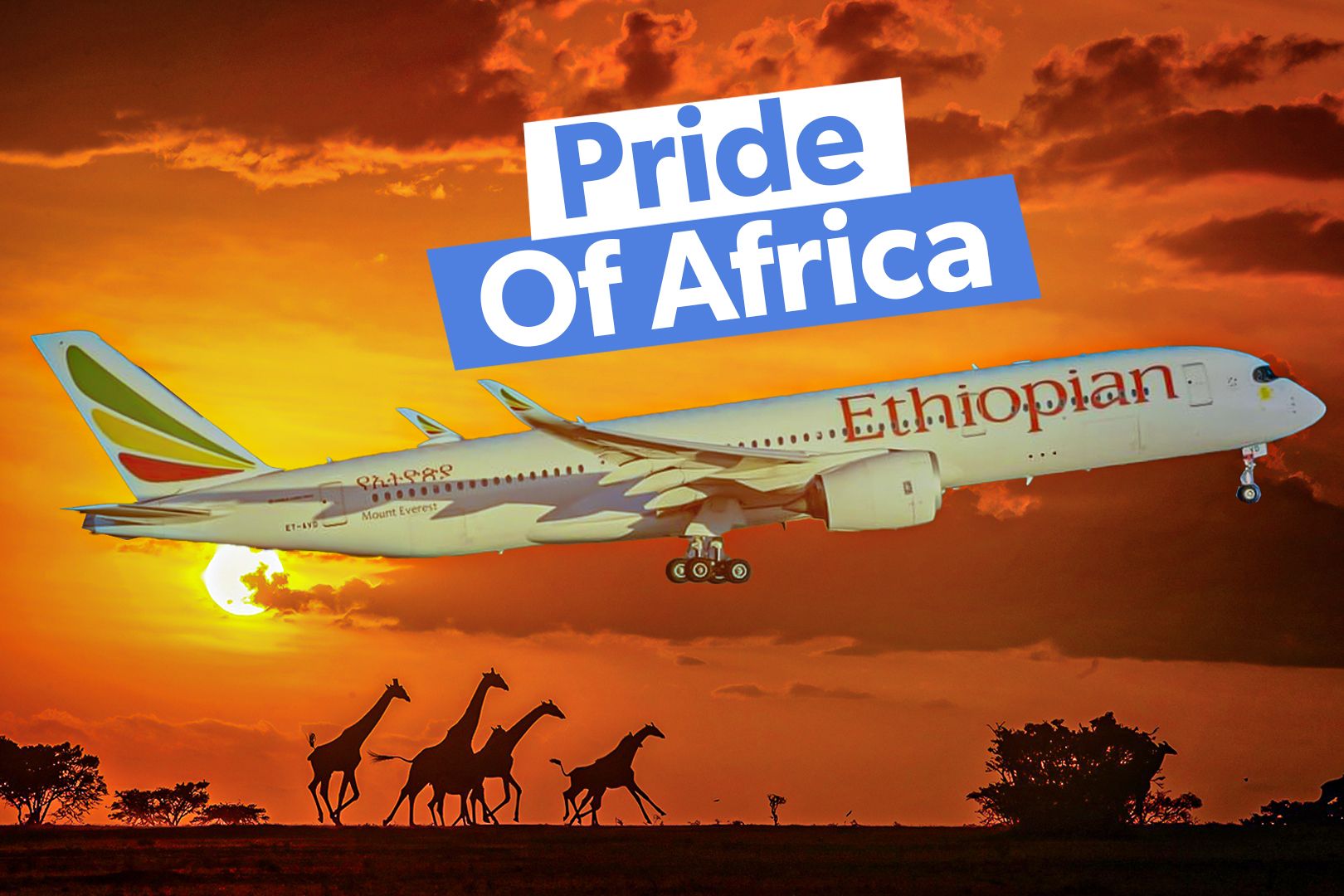 Ethiopian Airlines Fleet Custom Thumbnail