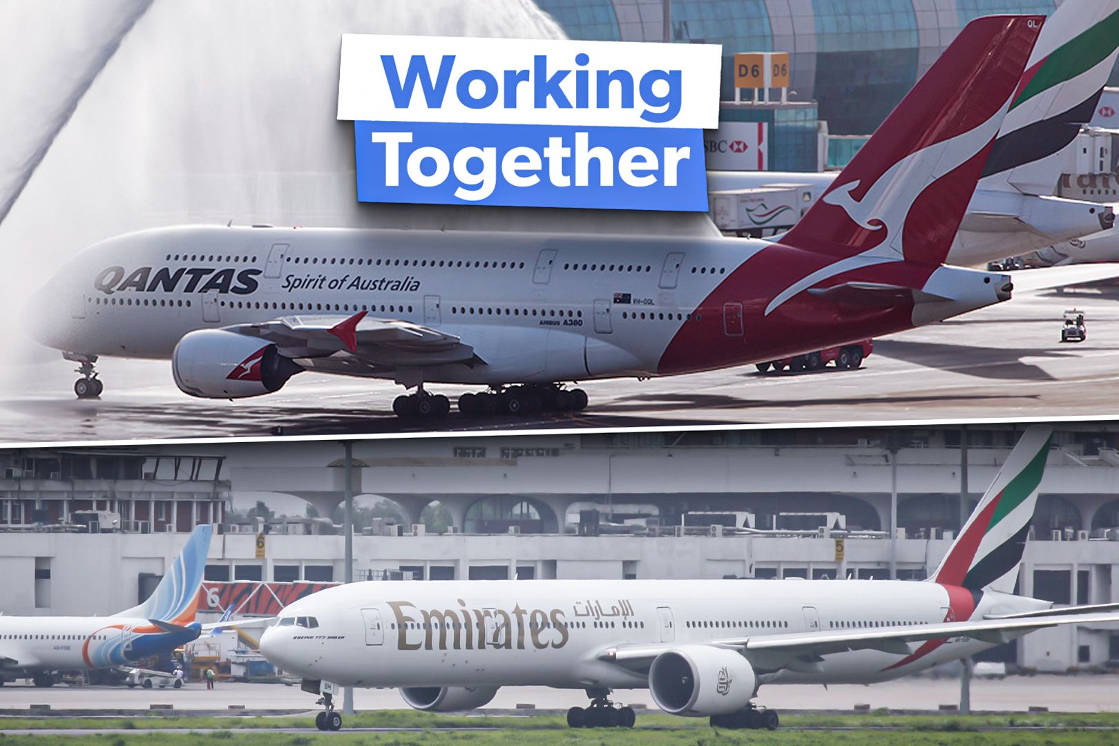 Examining the airlines that Emirates has codeshare agreements with 