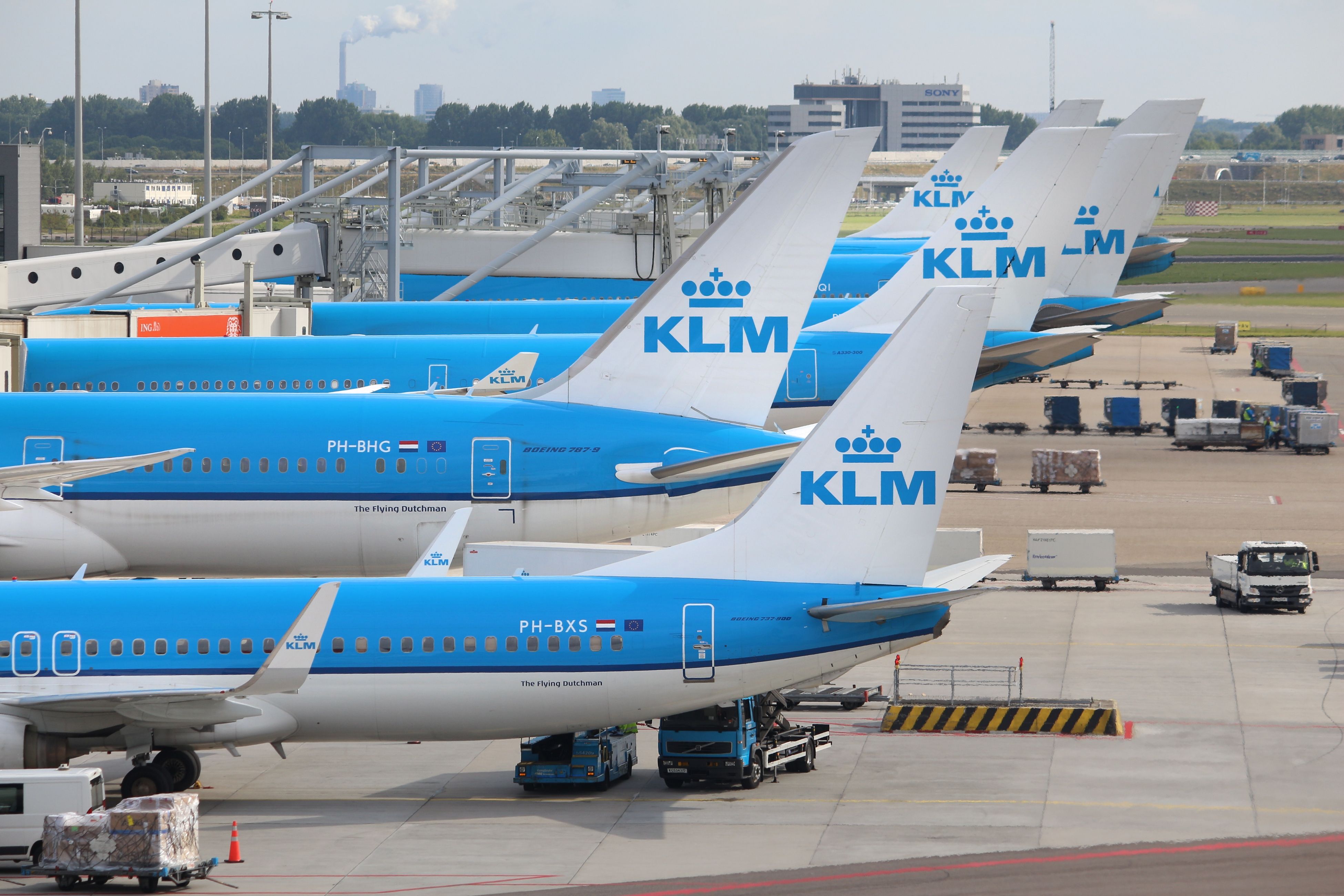 KLM planes parked in front of the gates of Amsterdam Airport Schiphol AMS shutterstock_2022682349