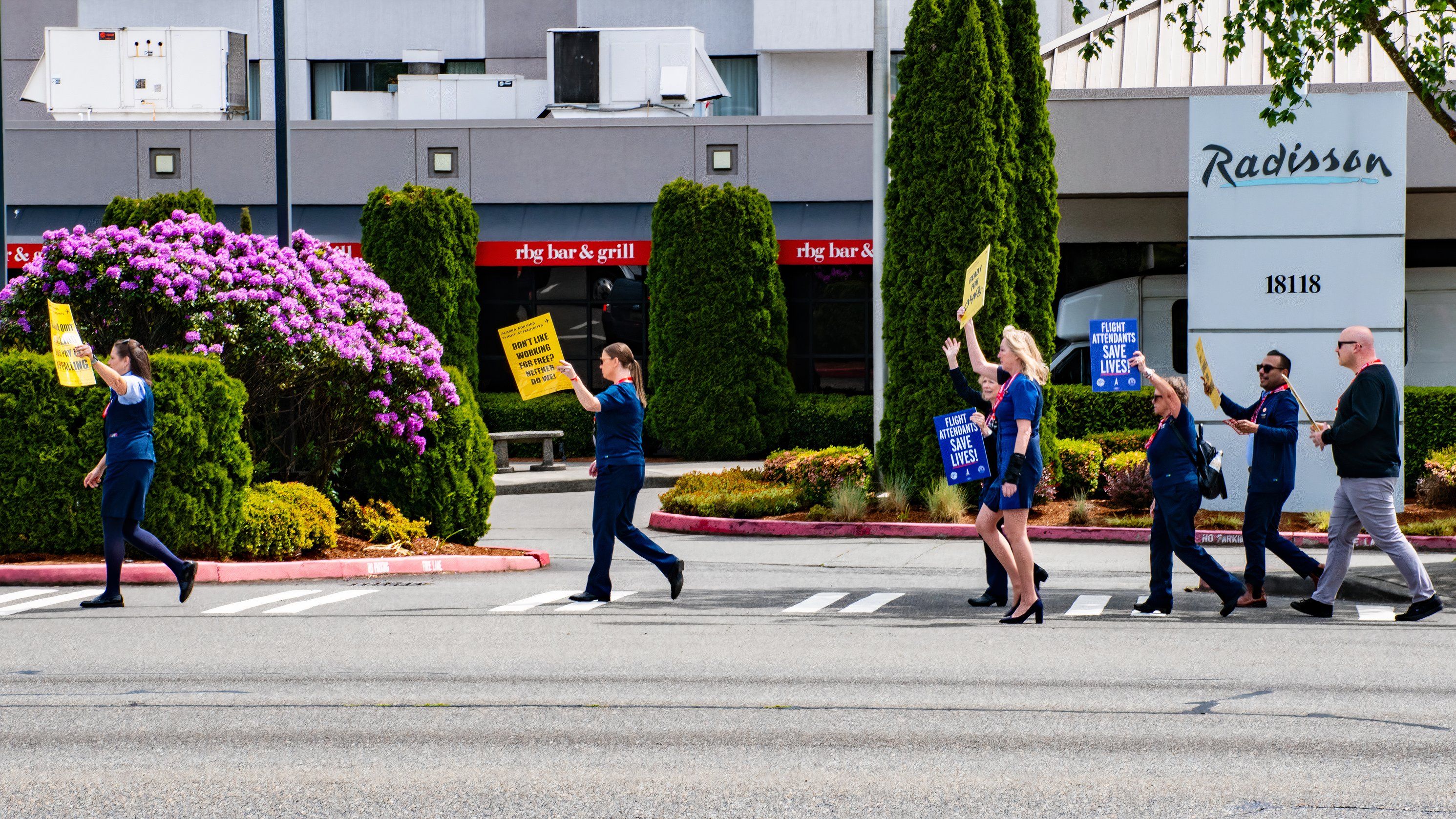 AFA day of action alaska airlines flight attendant pickets at seattle tacoma June 2024