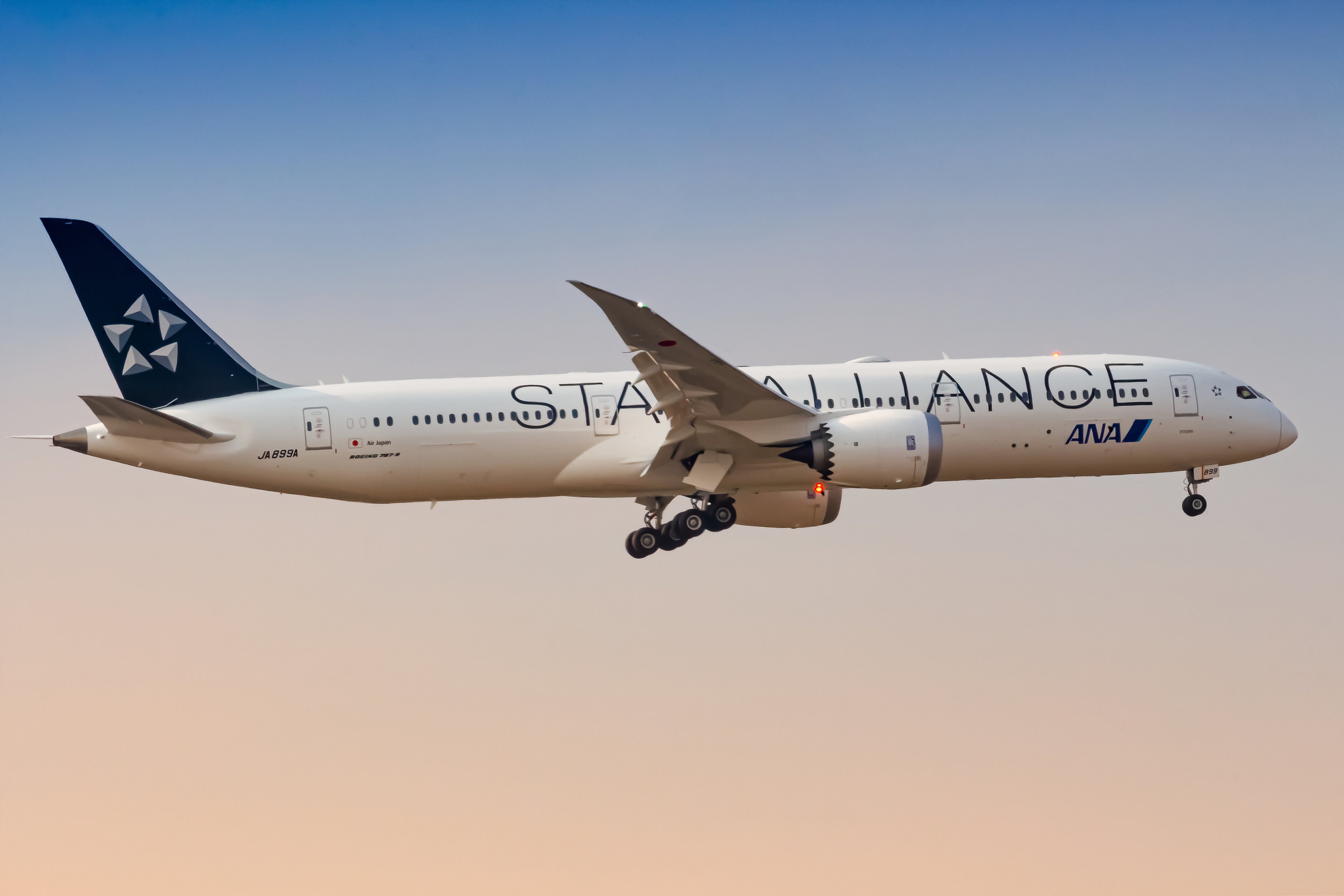 ANA Star Alliance shutterstock_2259993157