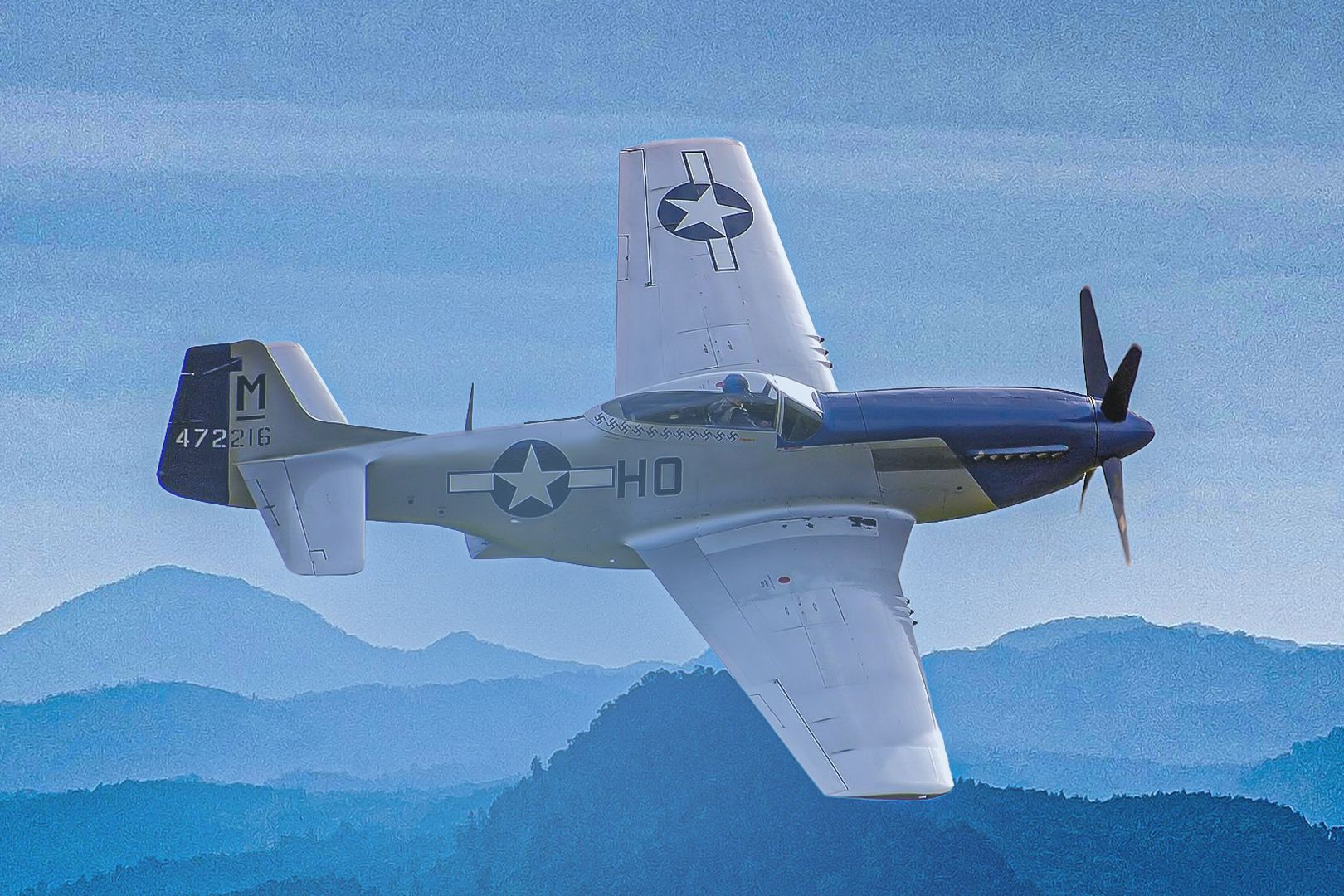 P-51 Mustang Custom thumbnail