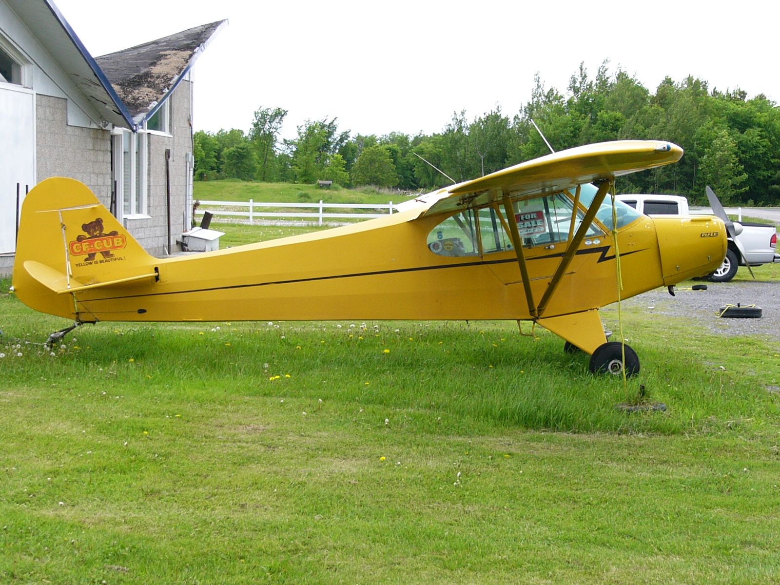 Piper PA-11