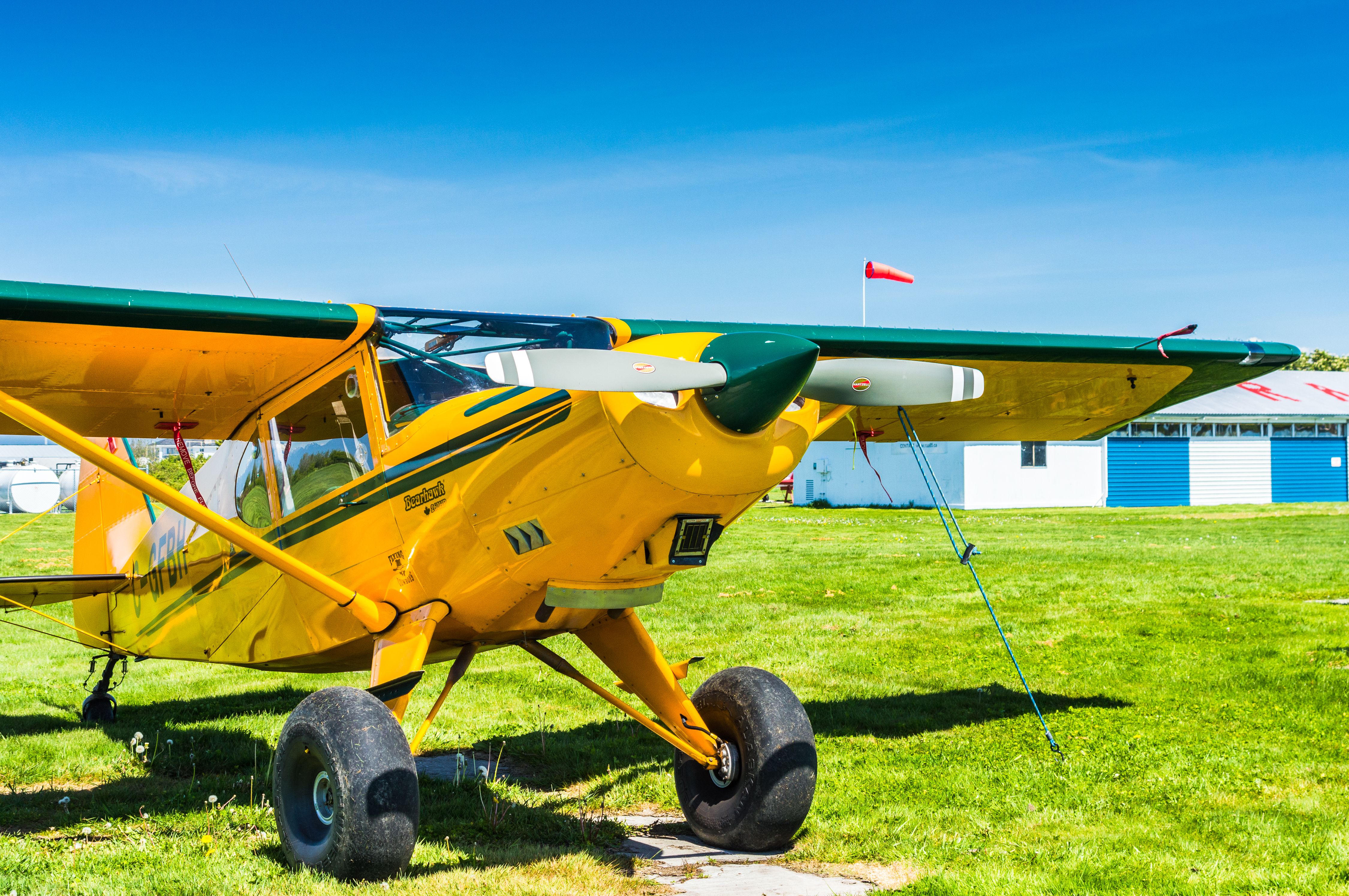 Single engine prop Bearhawk 250HP plane