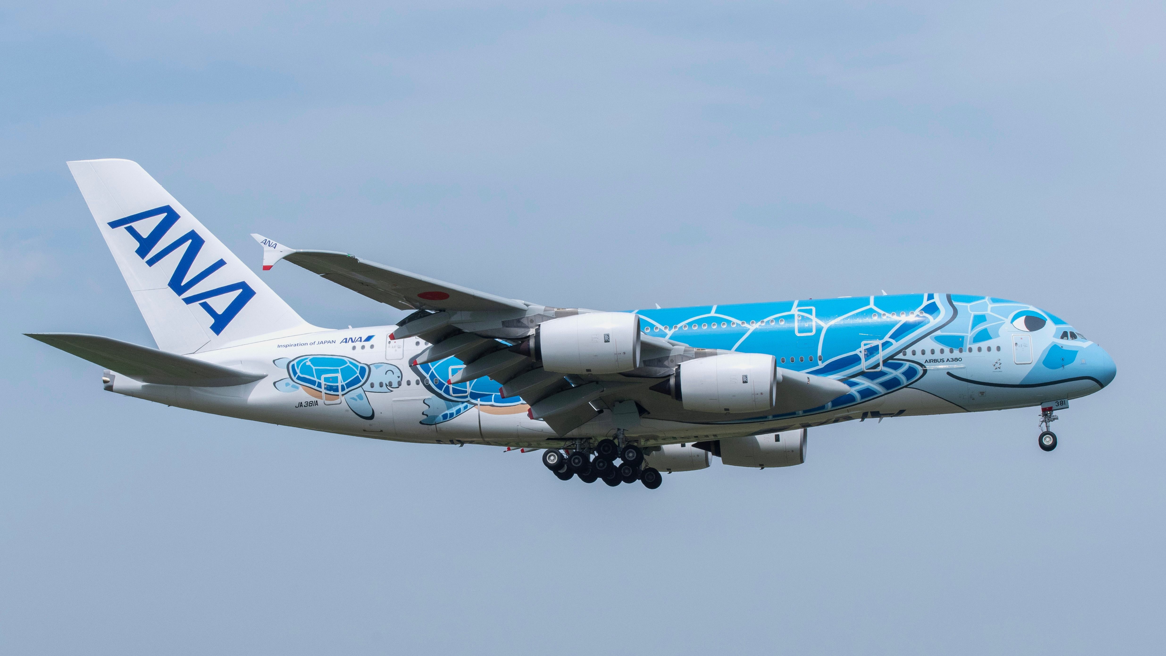 540-monthly-flights-which-international-airlines-fly-to-hawaii