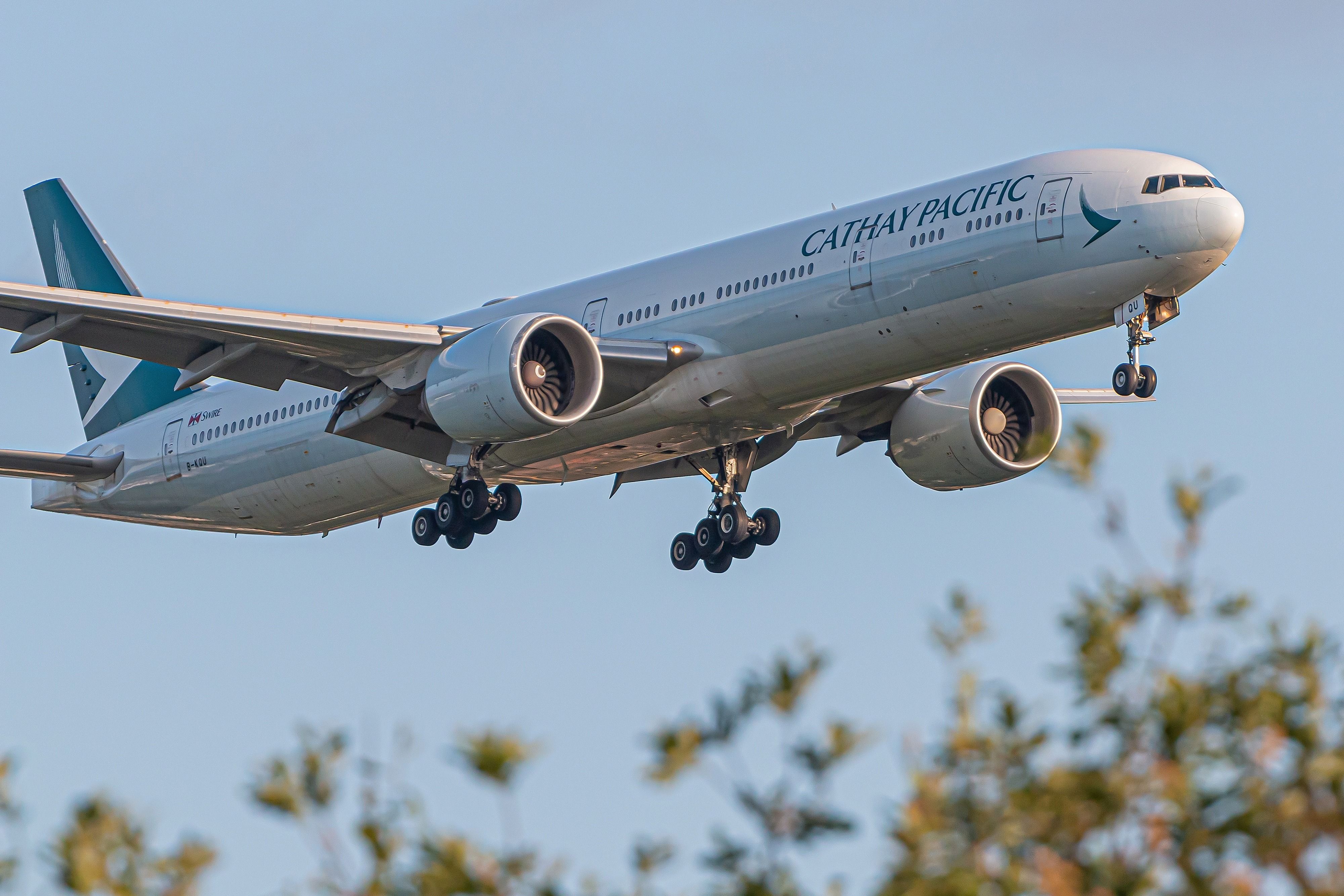 Cathay Pacific Orders 30 Airbus A330neo Planes To Serve Regional Routes ...