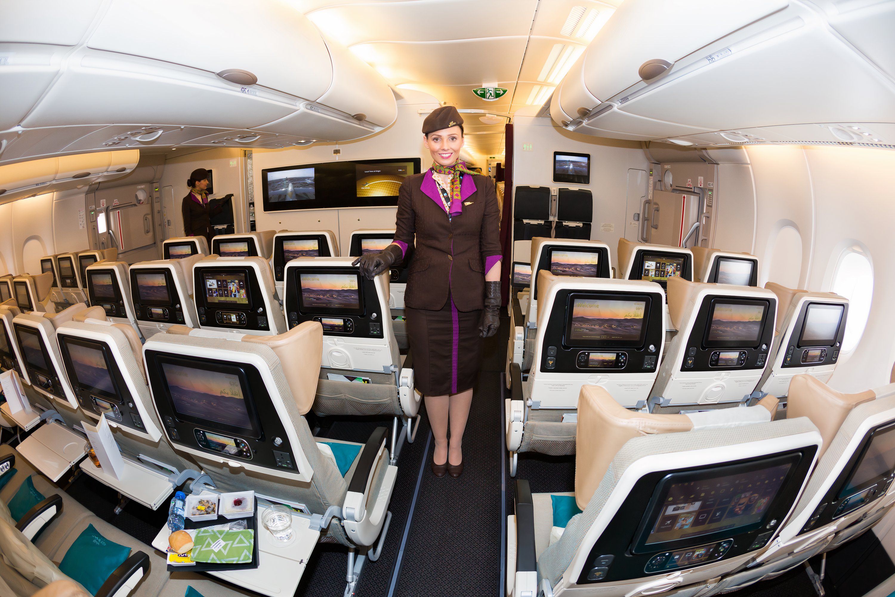 Etihad economy cabin shutterstock_383115061