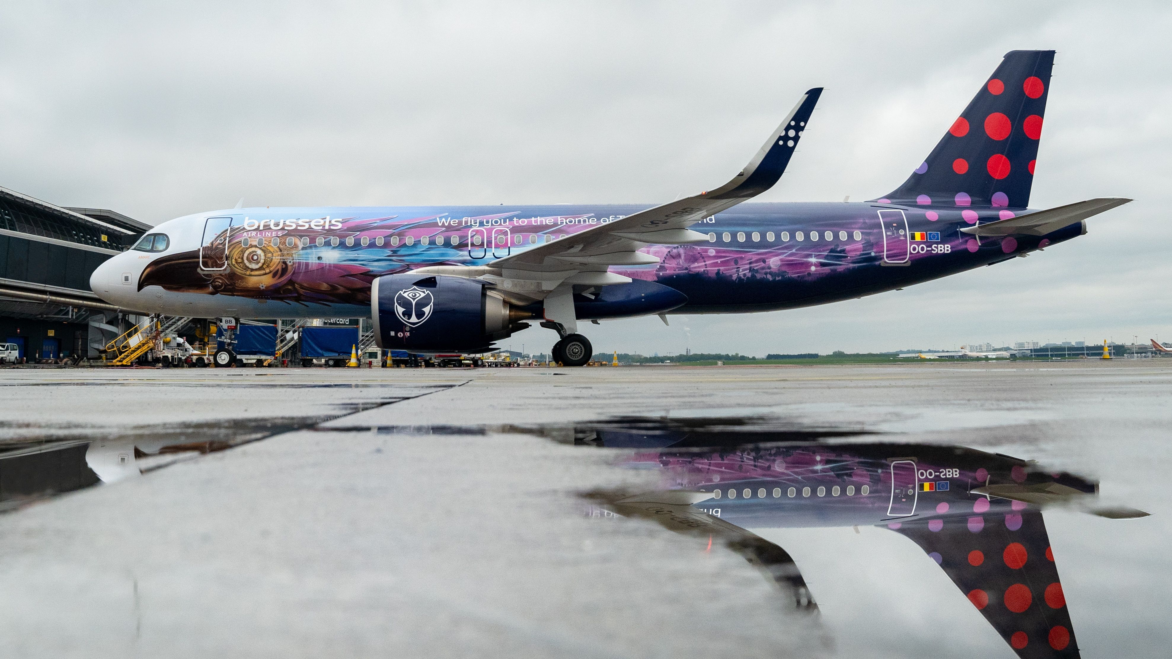 Brussels Airlines gets help from Belgians to design the most famous Belgian livery to date