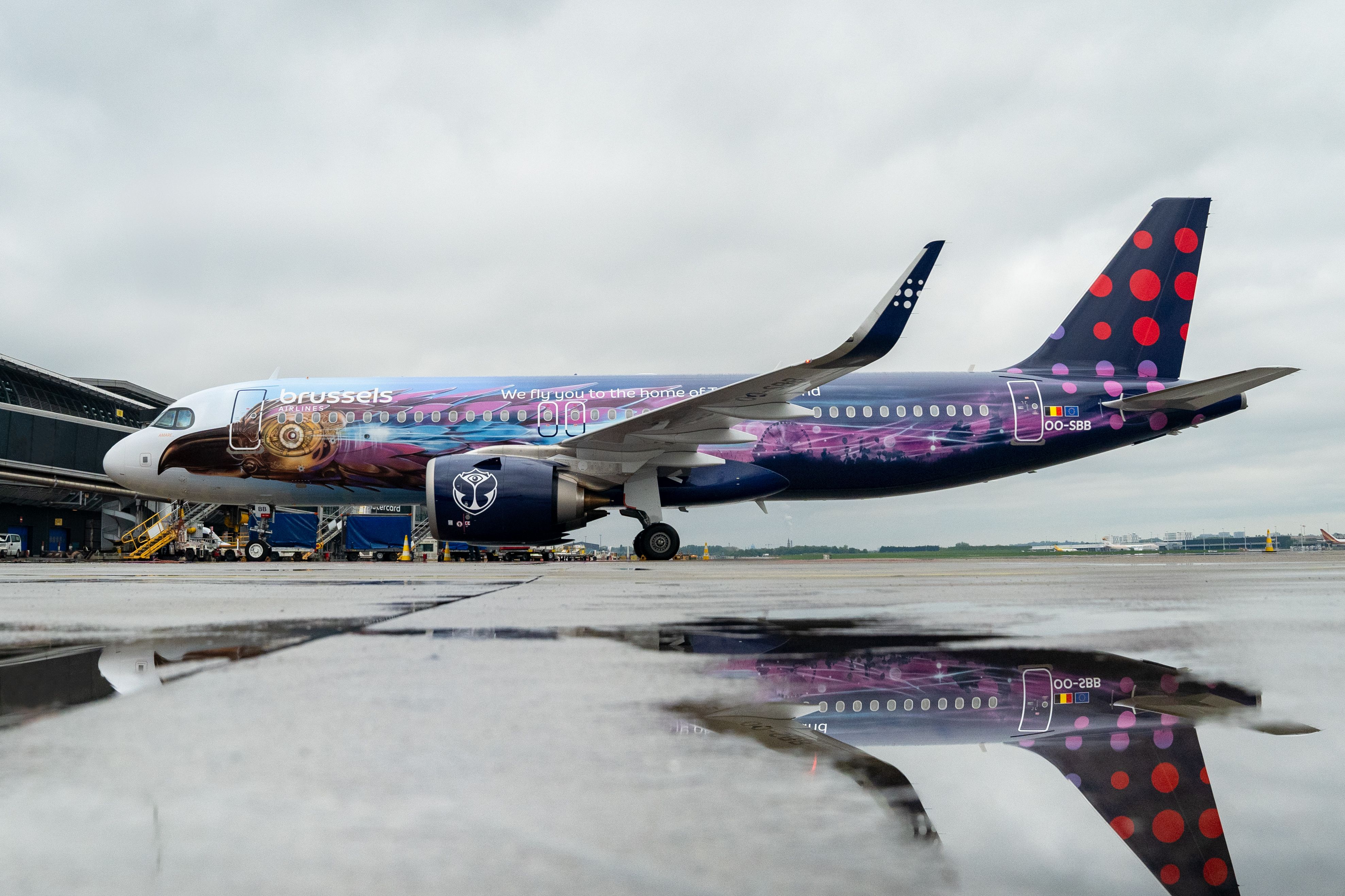 Brussels Airlines Wants Belgians To Help Design Its Most Belgian Icon Livery Ever