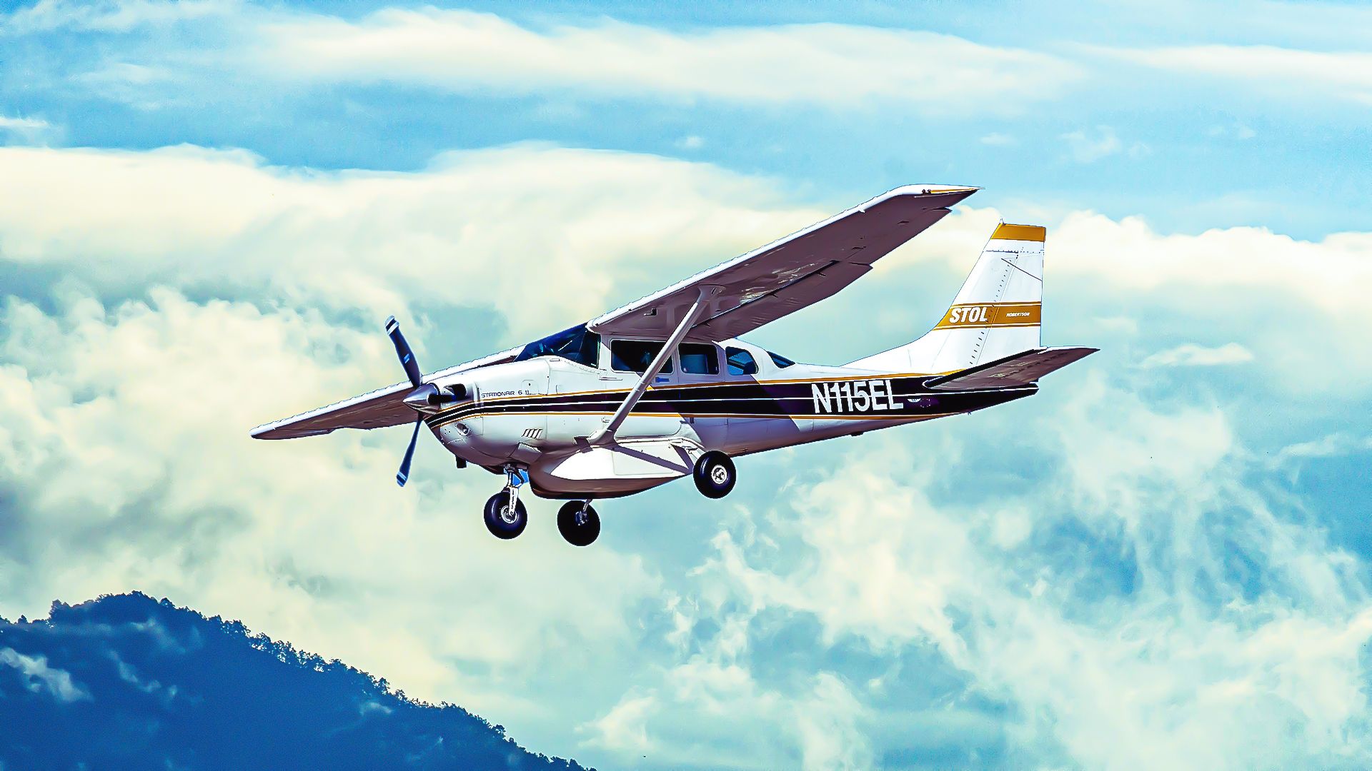 A Closer Look At The Cessna 206 Stationair