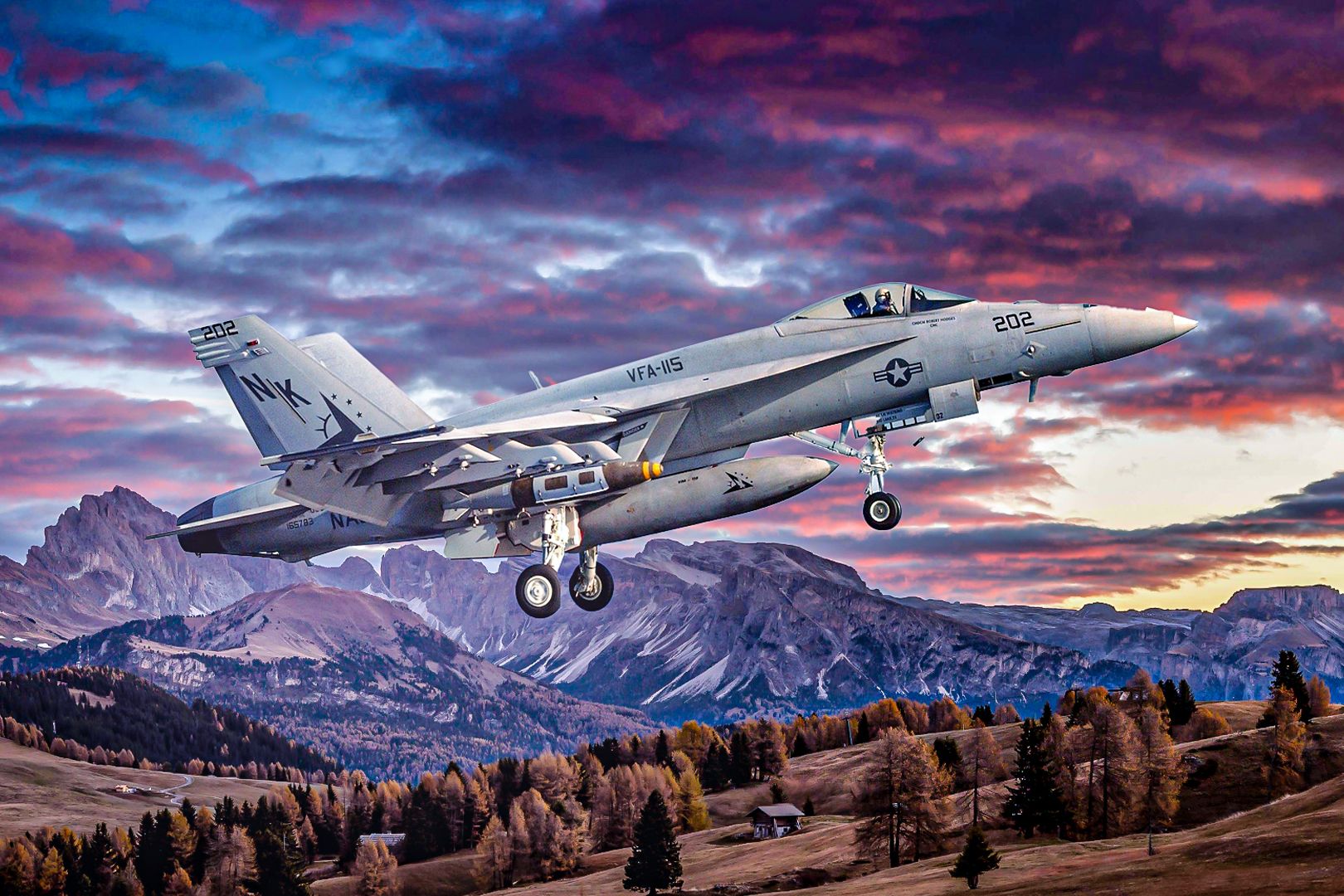 What Missions Did The F/A-18 Hornet Carry Out For The US Military?