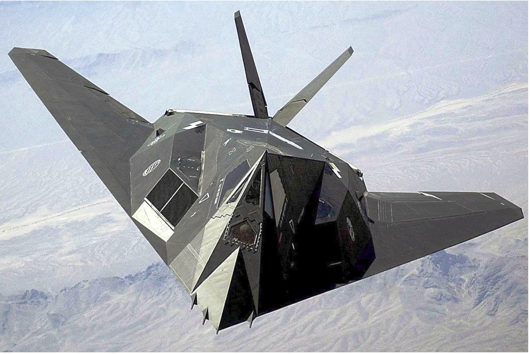 F-117 Stink Bug