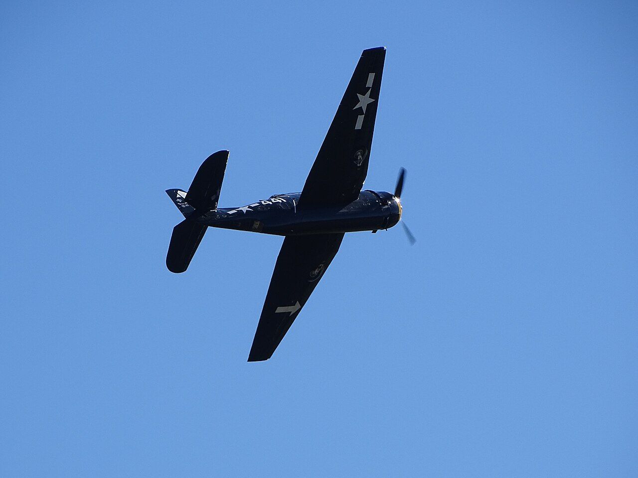 Grumman_TBF_Avenger_(40360524880)