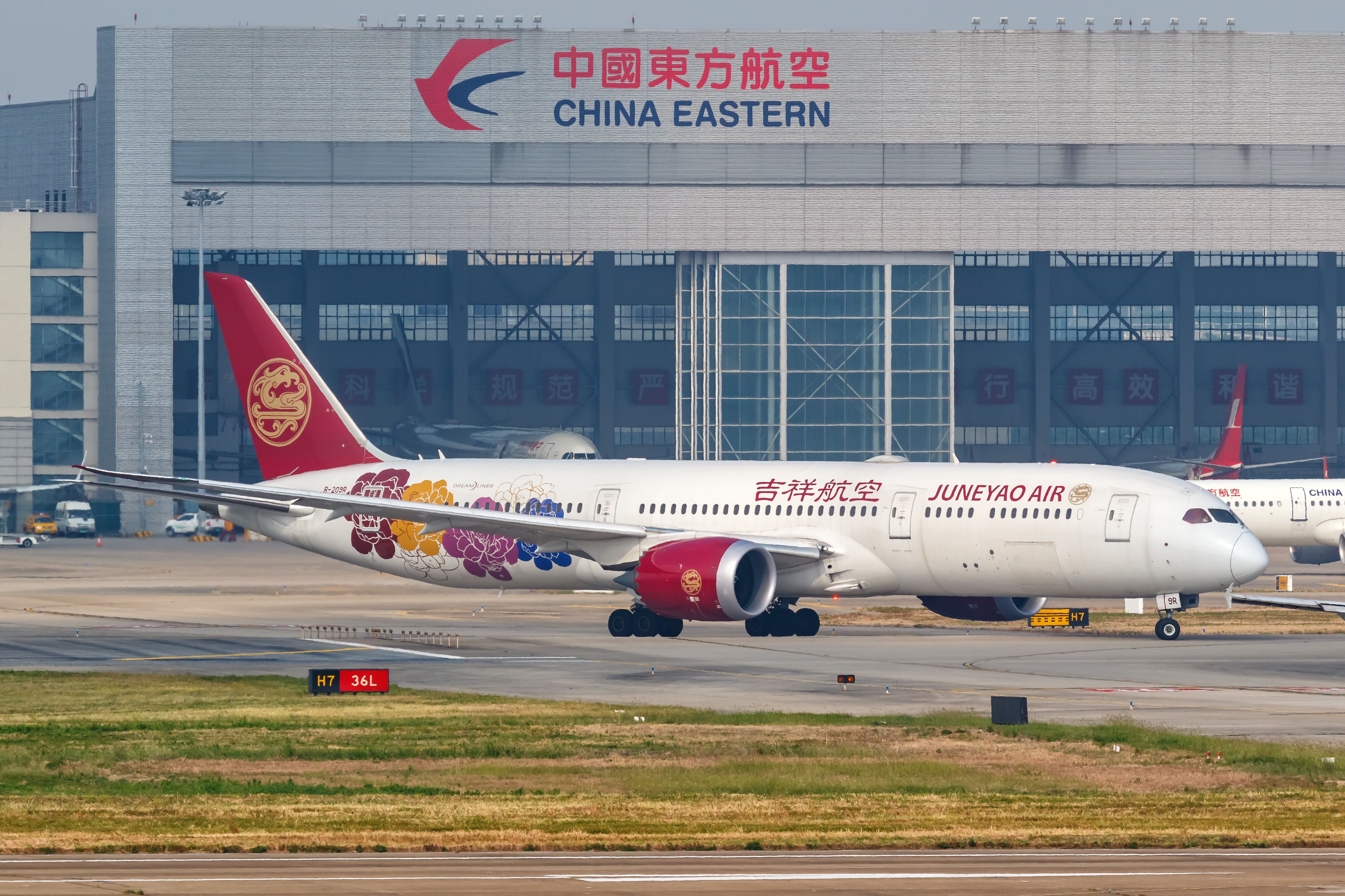 Juneyao Airlines Reports Toddler Was Locked In Lav By Passengers With Grandmother's Consent