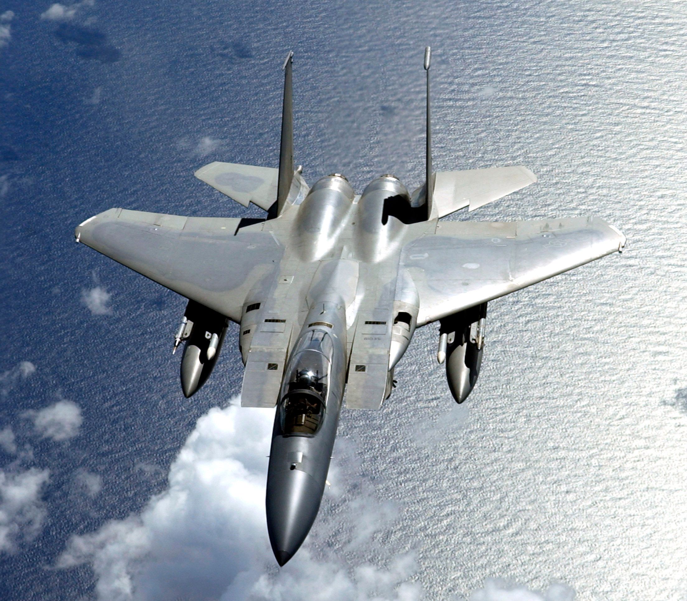 Photo of an F-5 Strike Eagle in flight