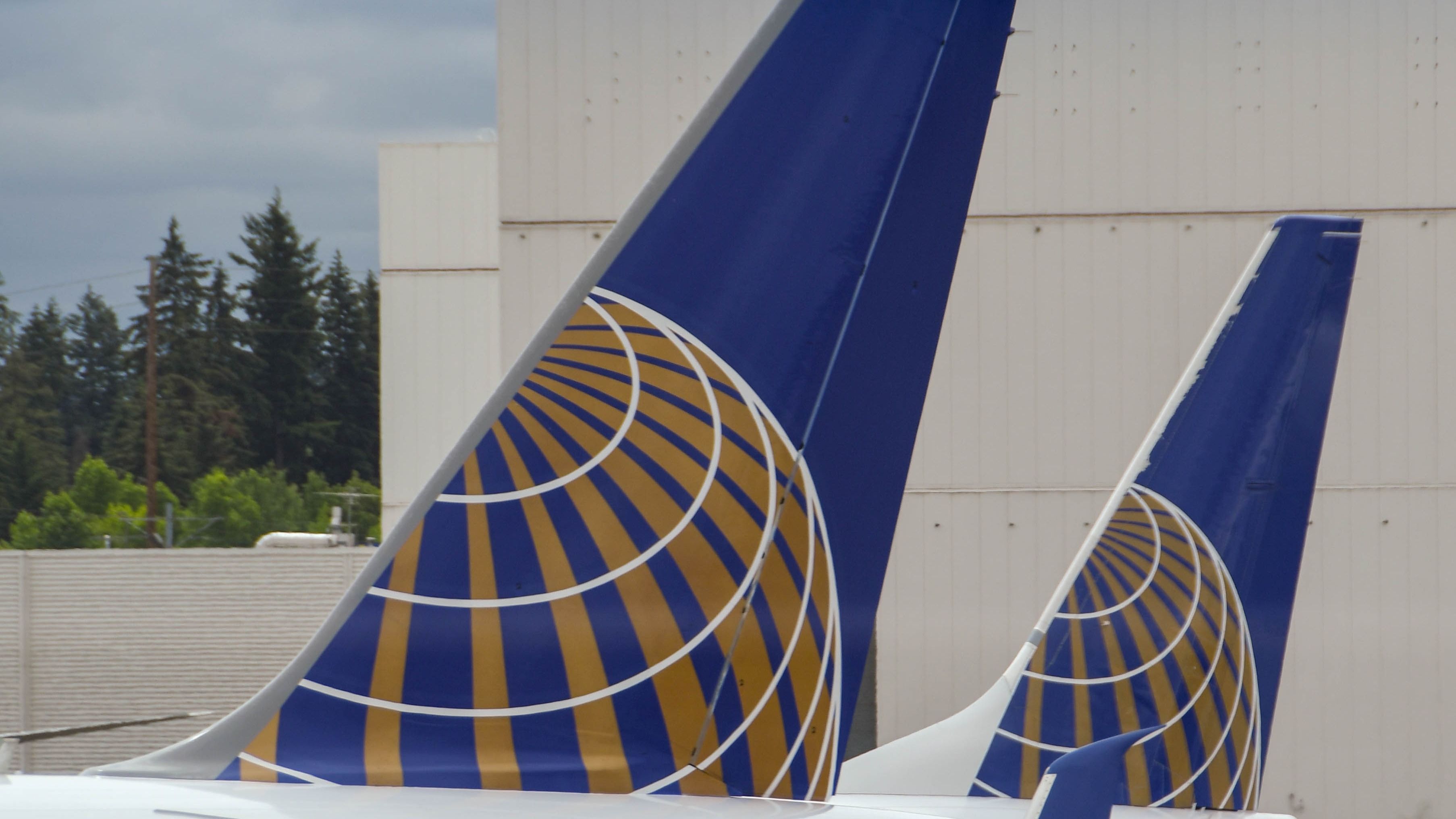 United Airlines tails at Seattle-Tacoma International Airport.