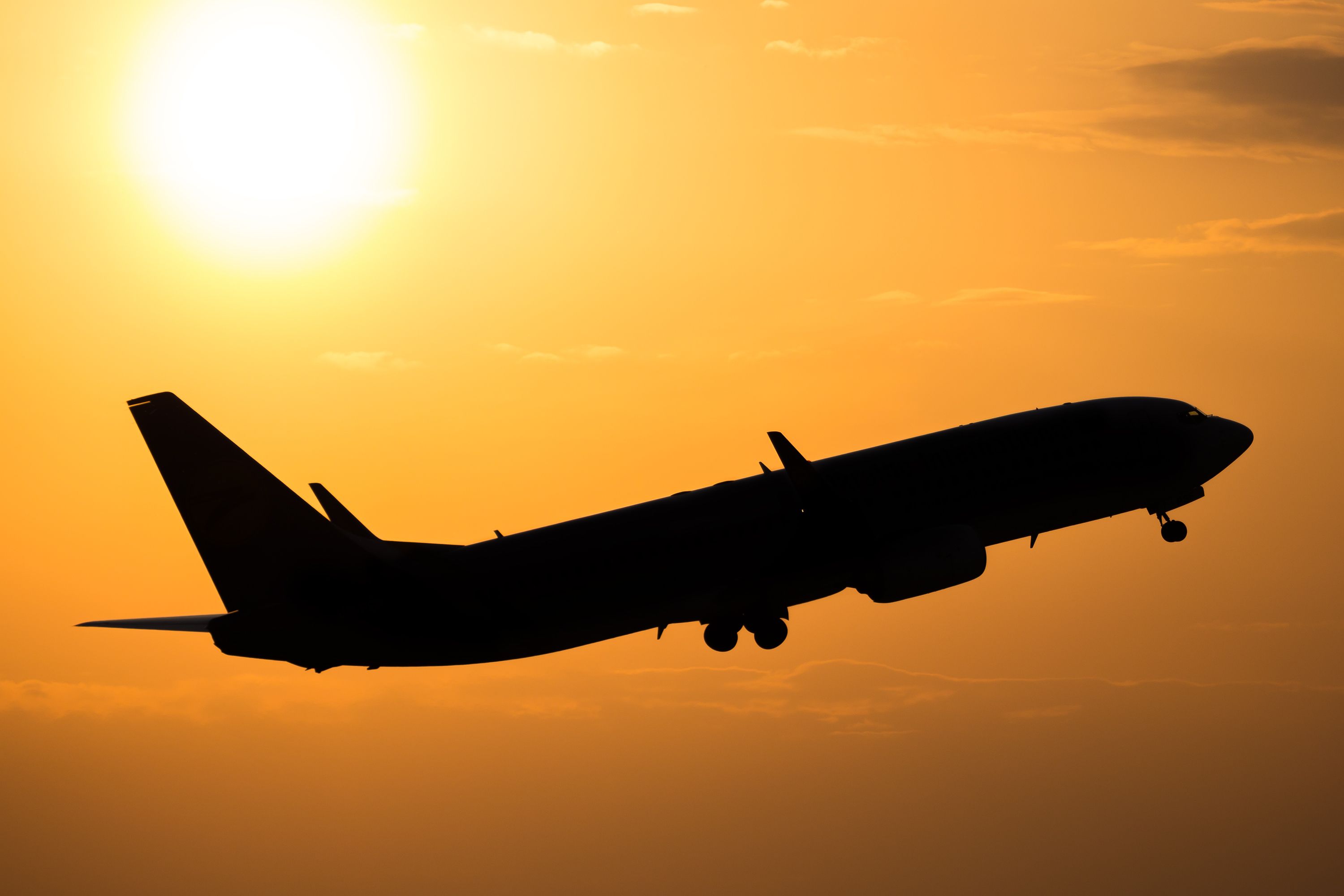 Former President Trump & JD Vance's Boeing 737-800 Enters Prohibited Airspace In Washington DC