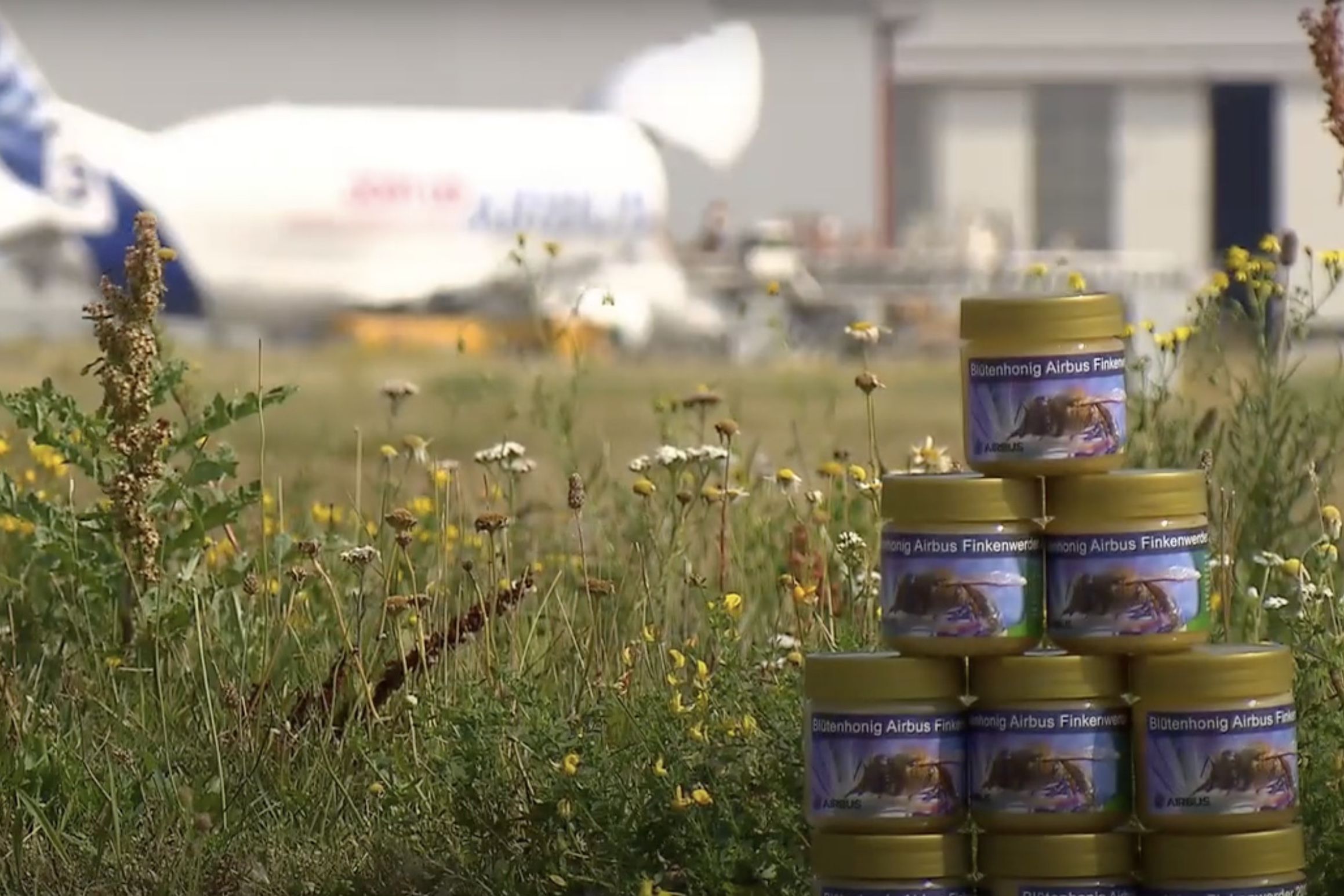 How & Why Are Bees Helping Hamburg Airport's Sustainability Efforts?