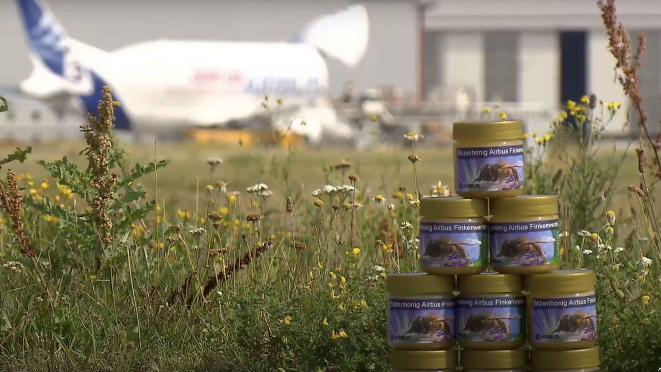 How and why do bees support Hamburg Airport’s sustainability efforts?