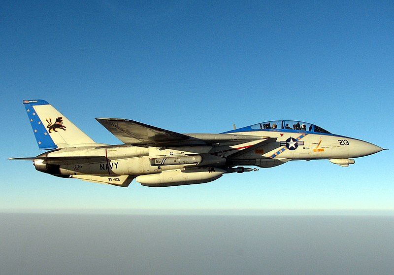 A specially painted F-14D Tomcat assigned to the Blacklions of Fighter Squadron Two One Three (VF-213)