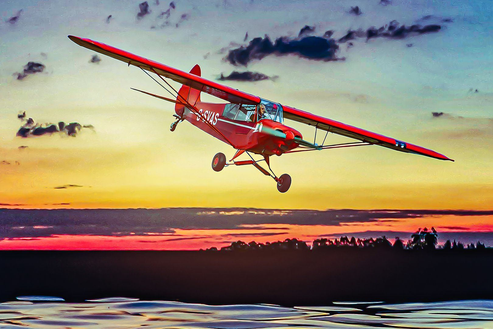 the-piper-cub-everything-you-need-to-know