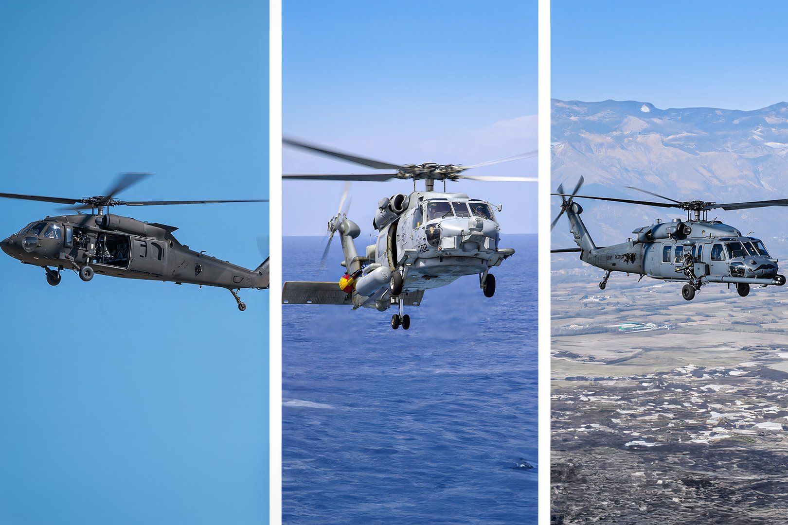 All The Hawks: Comparing US Military Sikorsky Helicopters