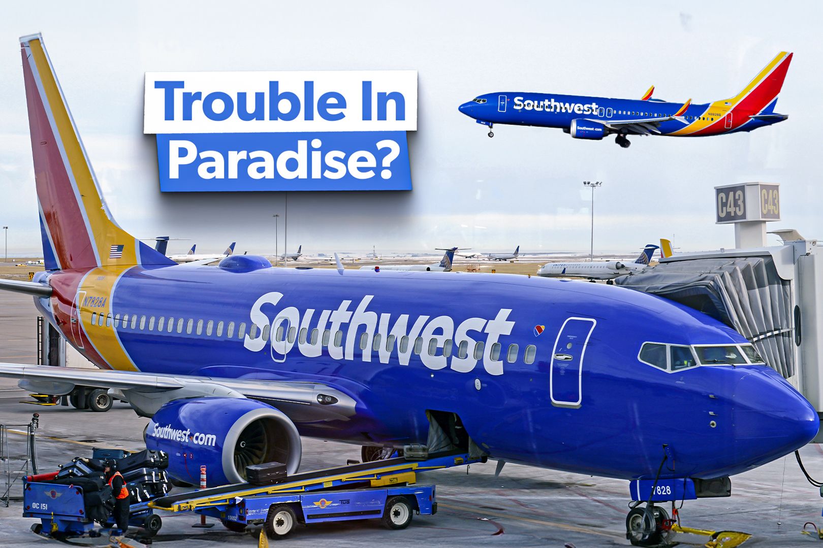 Southwest Airlines Trouble In Paradise Custom Thumbnail