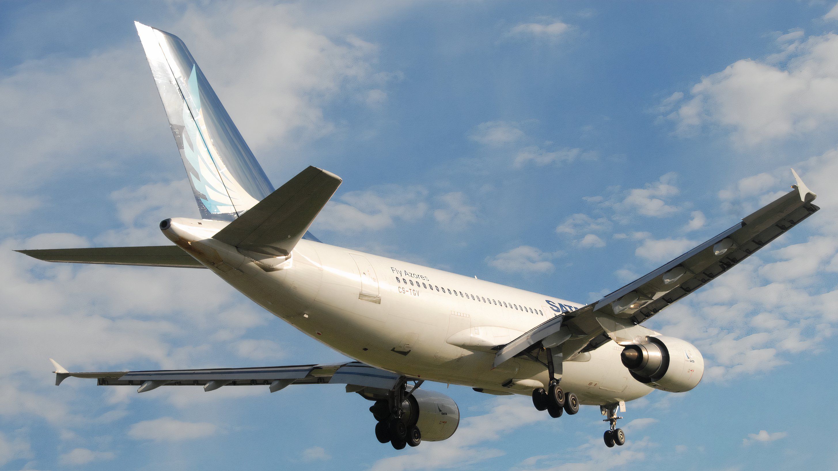 ヨーロピアン・ワイドボディAirbus A300&A310 ヨーロピアン・ワイドボディAirbus A300&A310 Airbus A310: Was