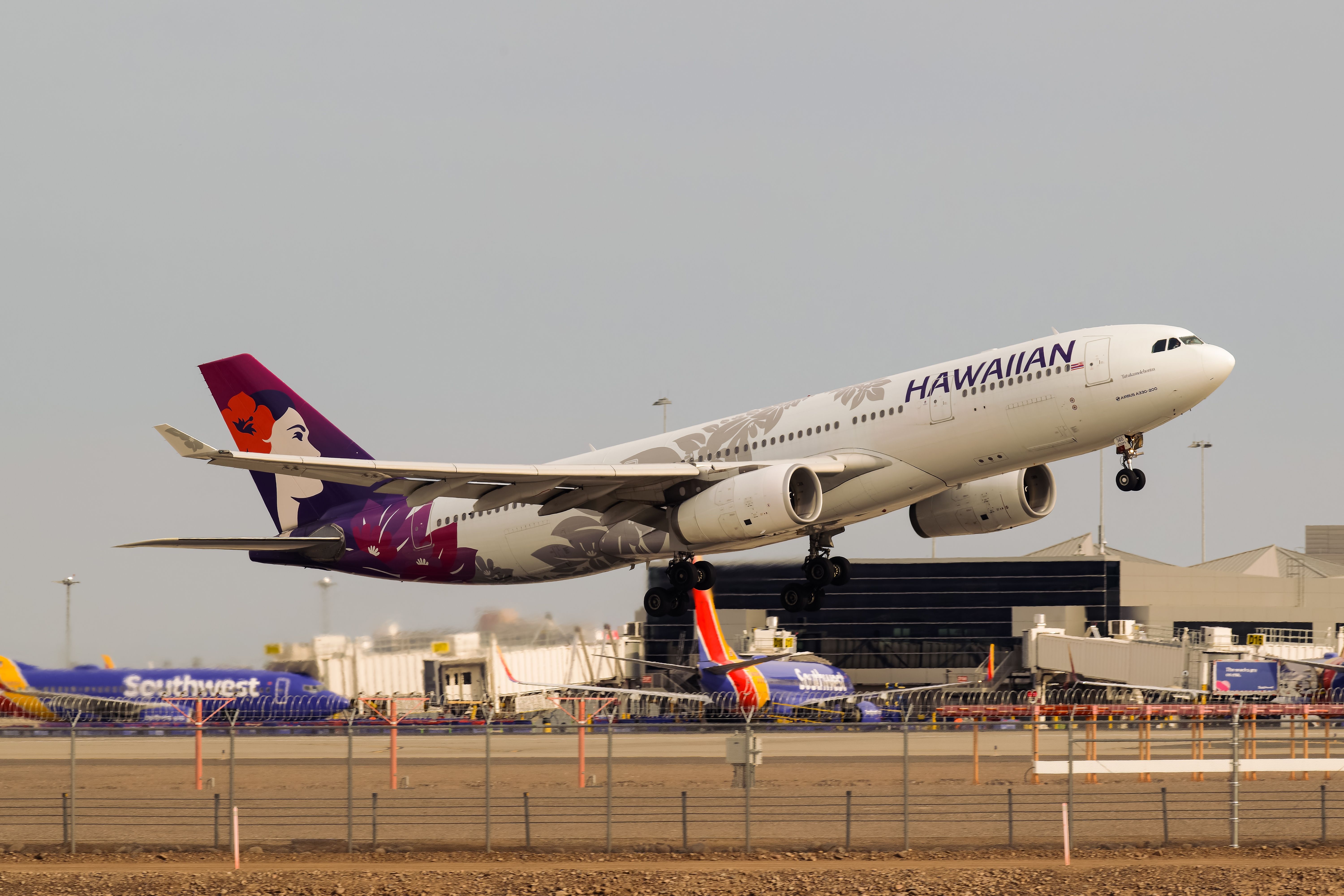 Hawaiian Airlines Airbus A330-200 departing from Phoenix Sky Harbor International.