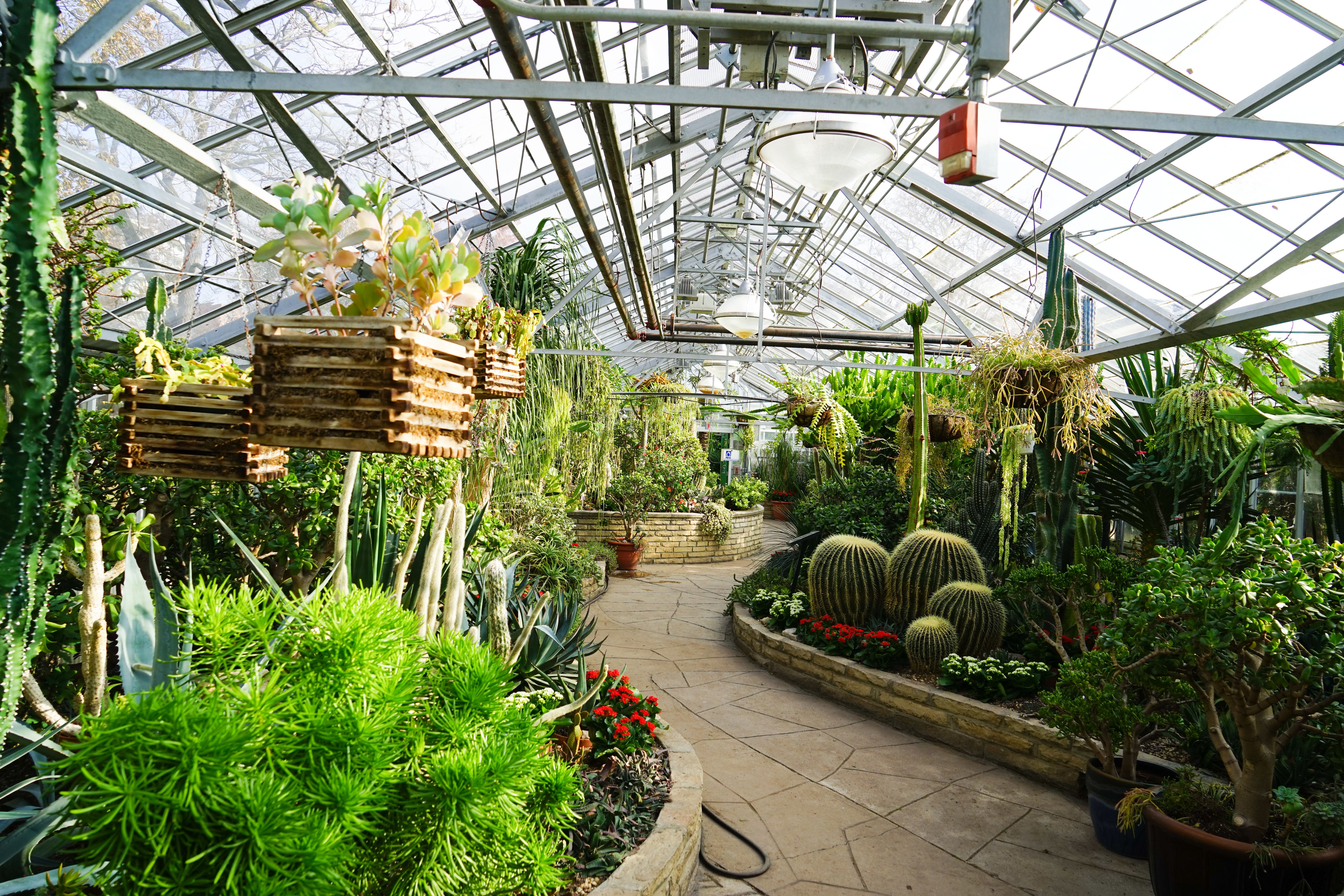 shutterstock_Allan Gardens