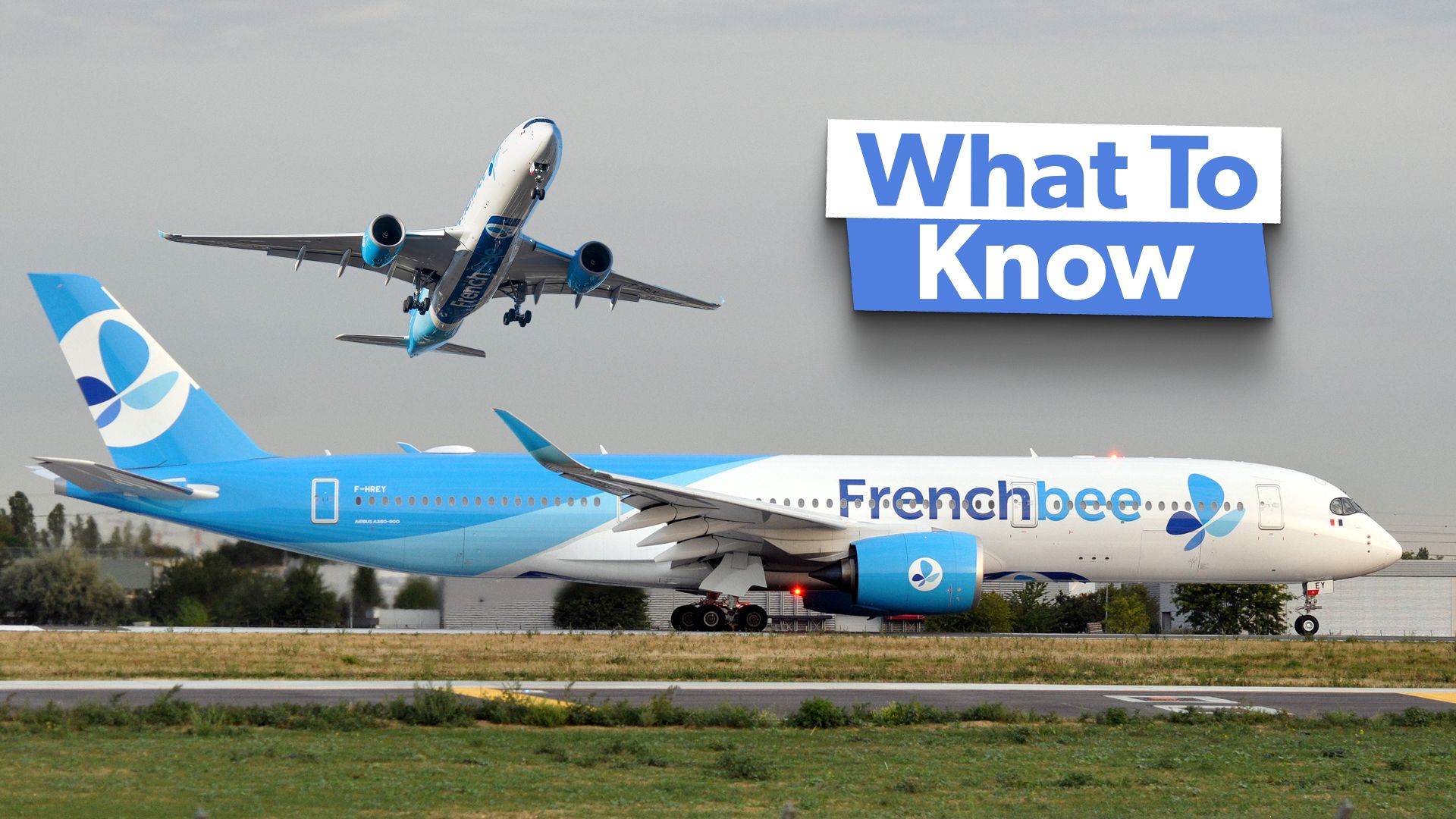 French bee's Ticket Types A Brief Guide