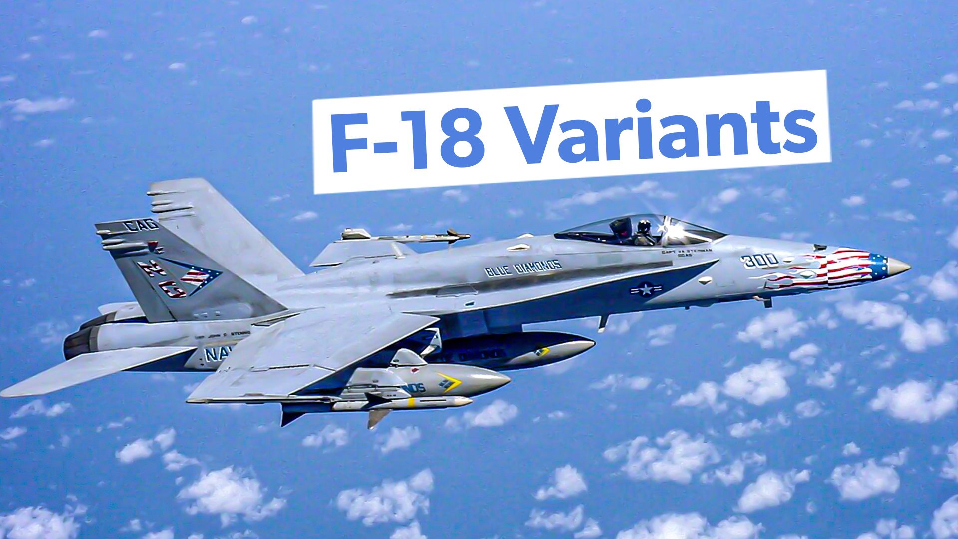 5 Fast Facts On The US Navy's 7 F-18 Variants