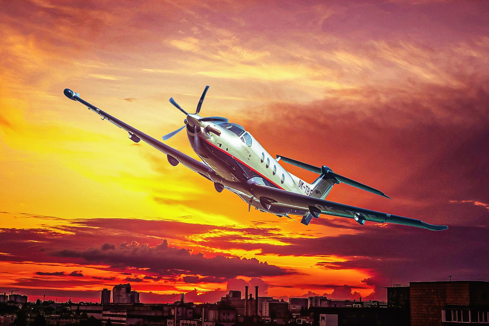 畫板 2 3_2 - 2024-10-13T230626.322