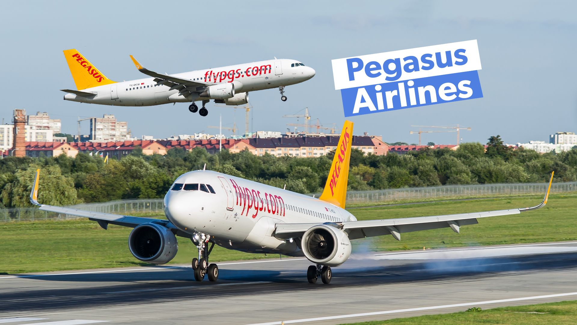 Pegasus airlines company on sale