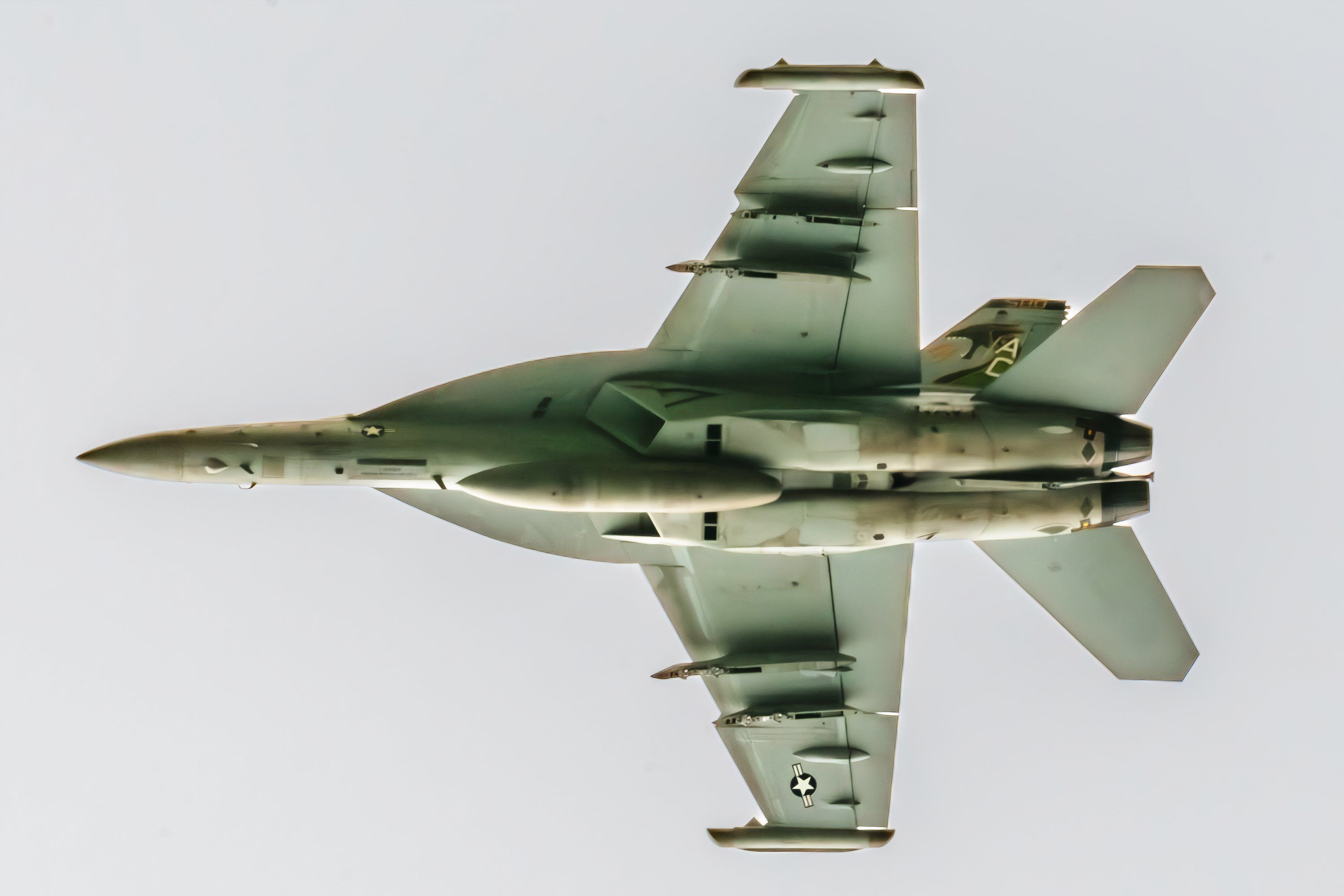 仰視 VAQ-130 Zappers CAG Bird - 4x6