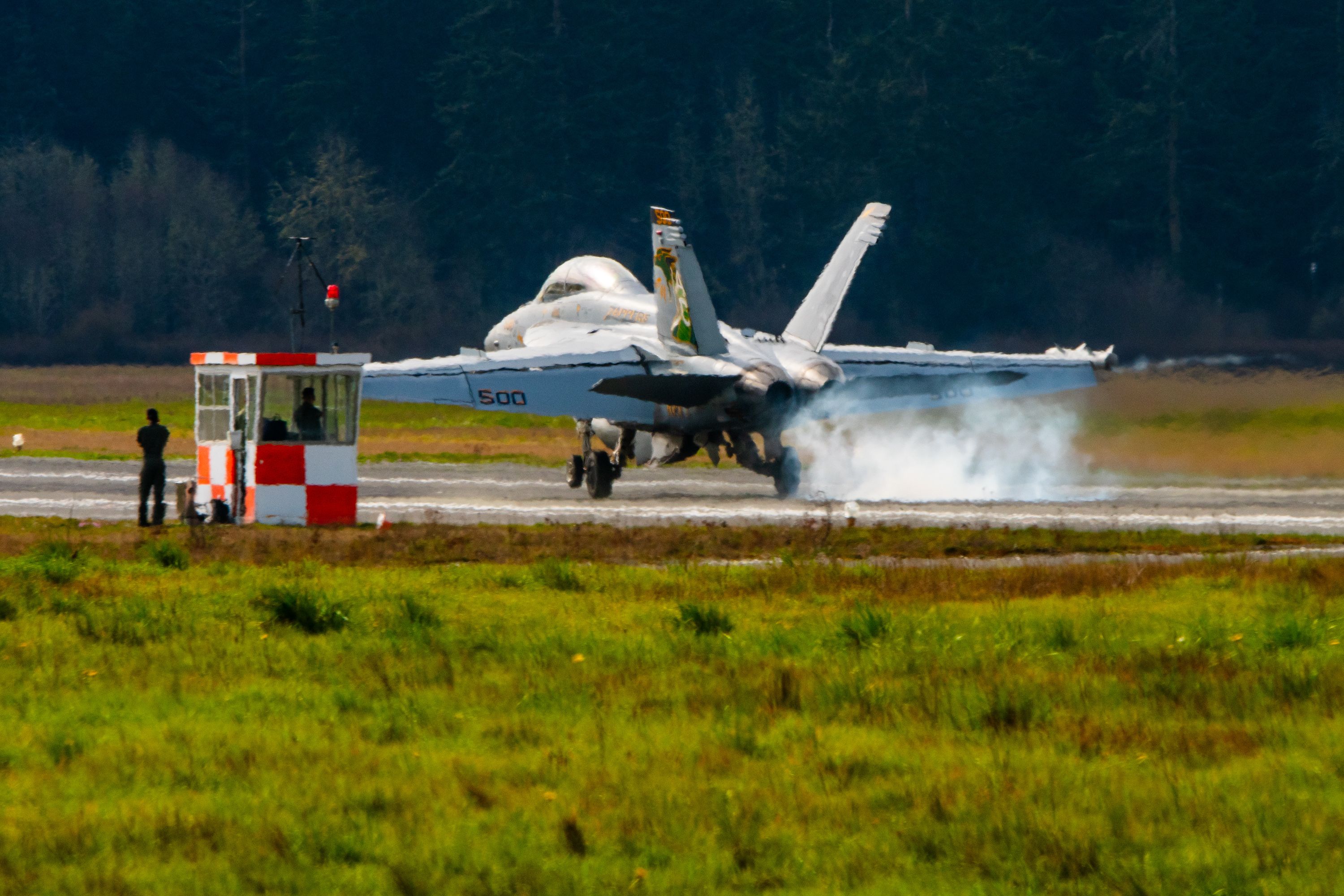  VAQ-130 squadron and EA-18G Growler