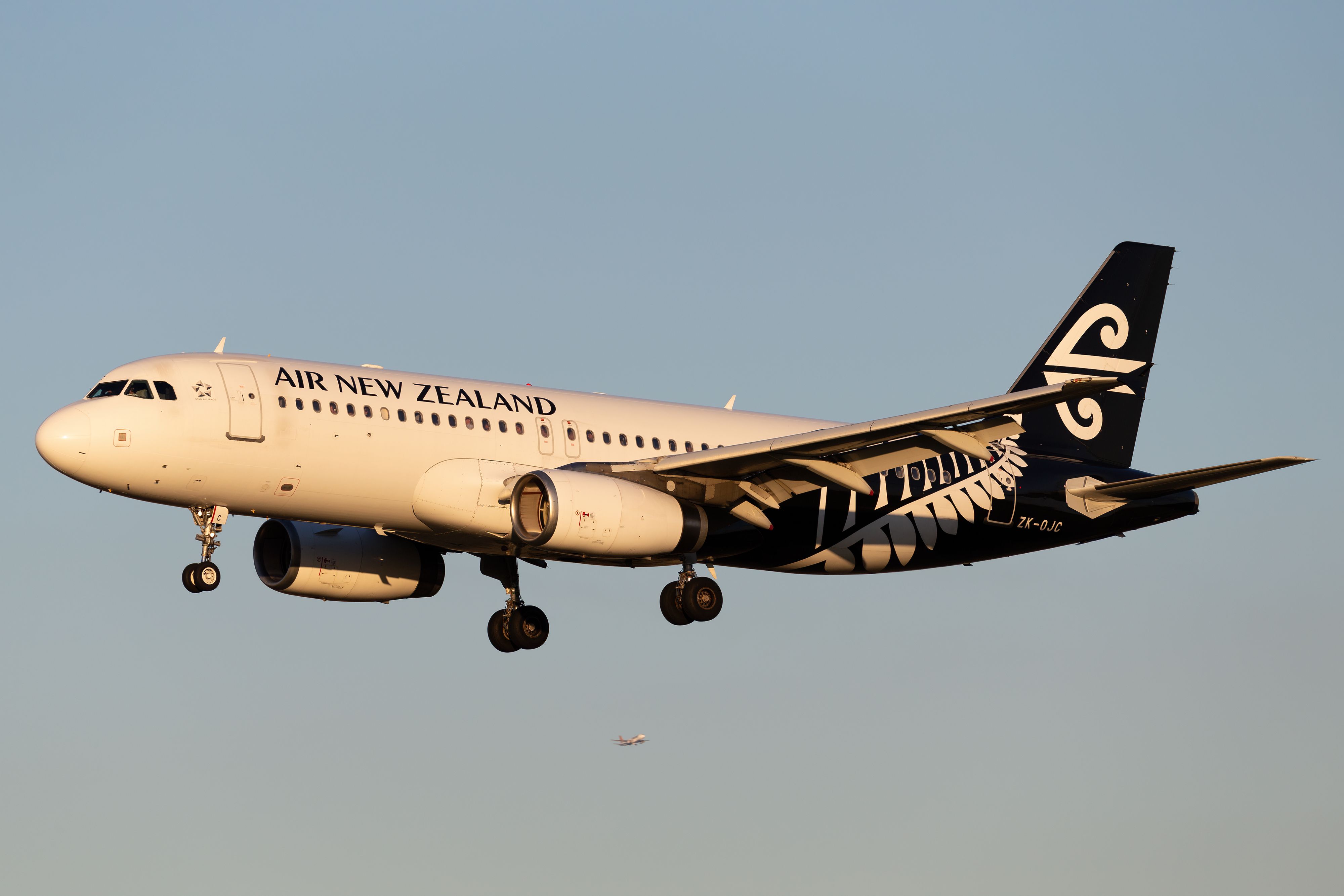 Air New Zealand Airbus A320 Searched After Serious Security Threat