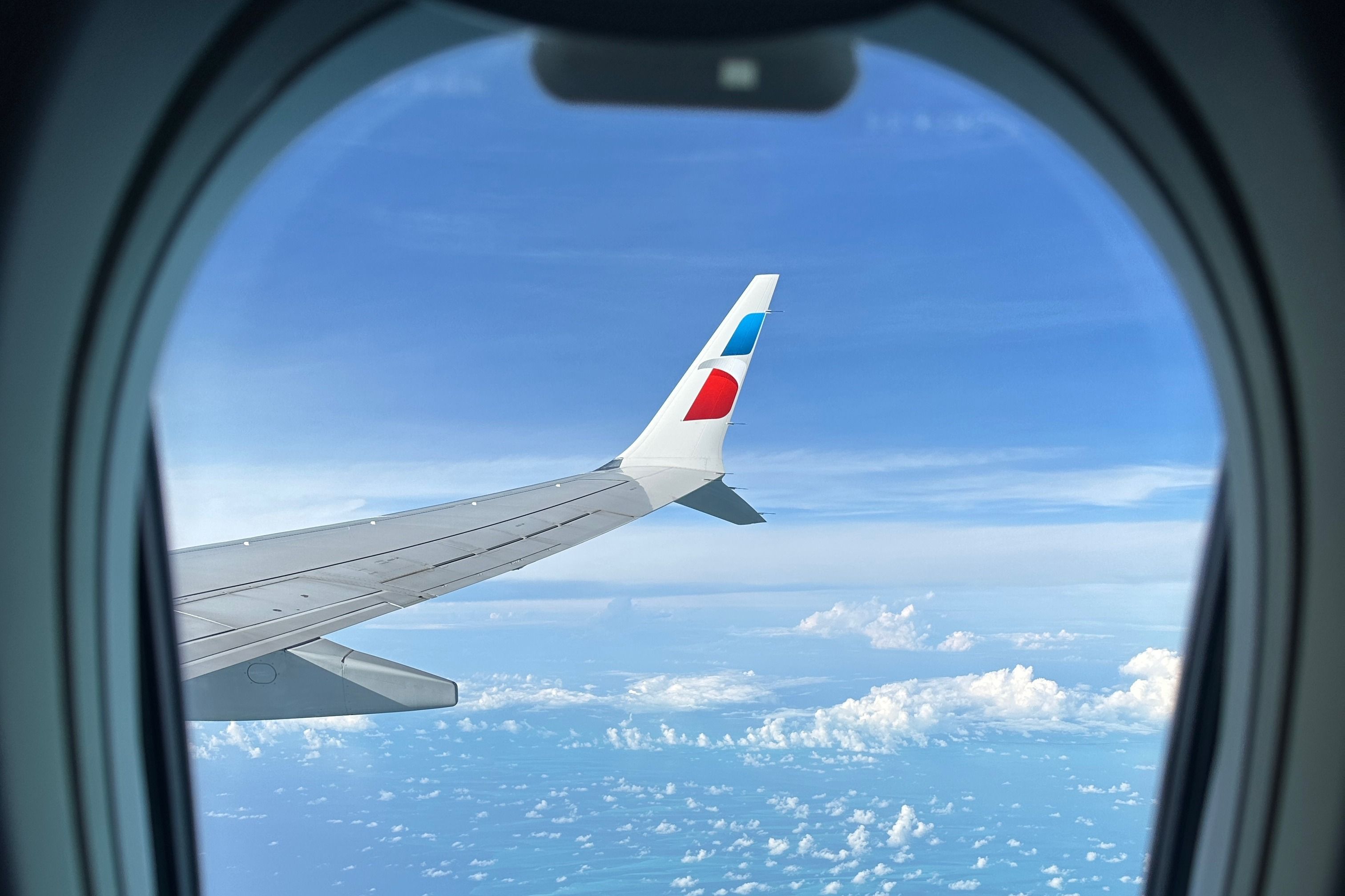 American Airlines Boeing 737 MAX 8 Flight Symbol winglet wingview.