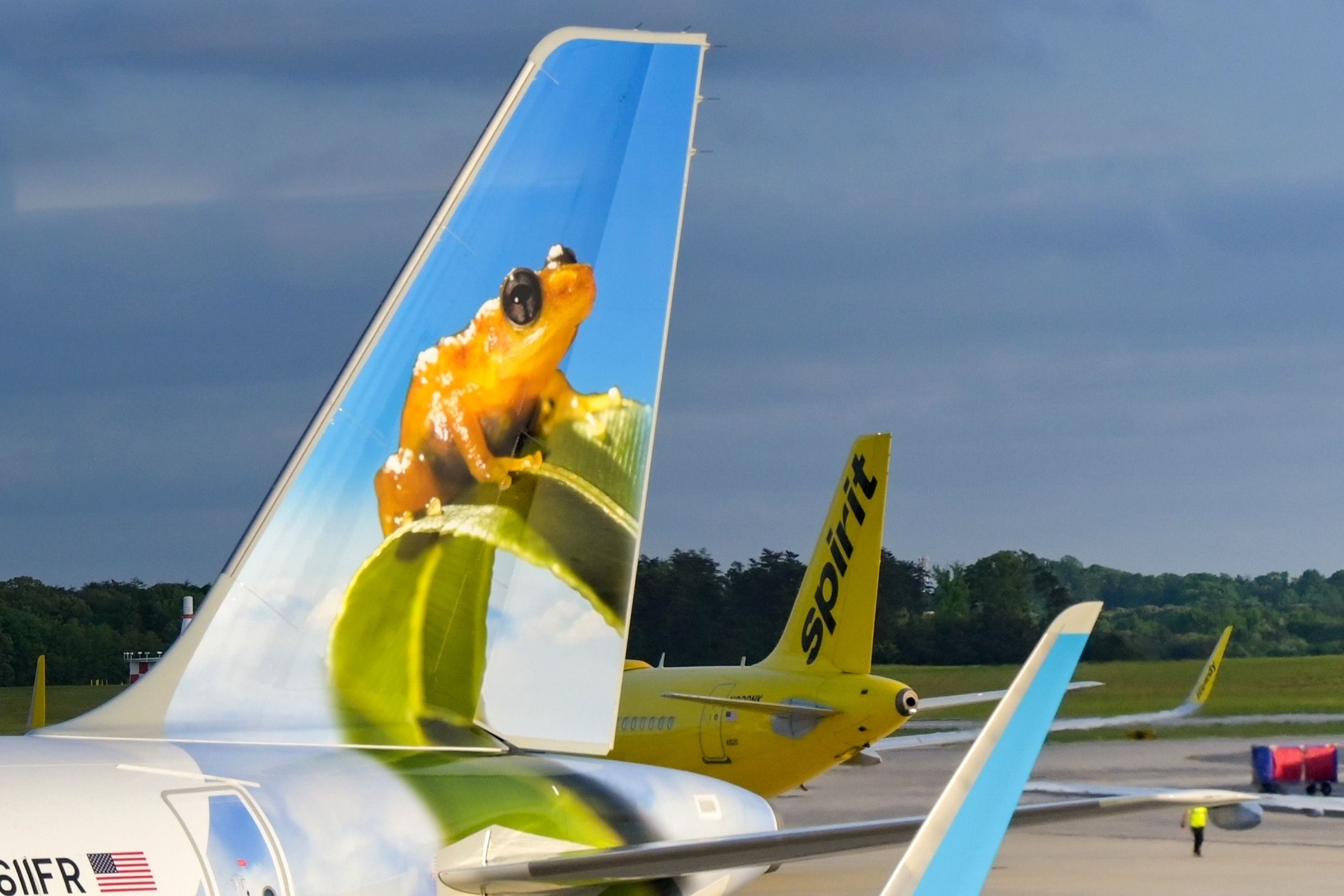 Frontier Airlines aircraft with Spirit Airlines aircraft in the background.