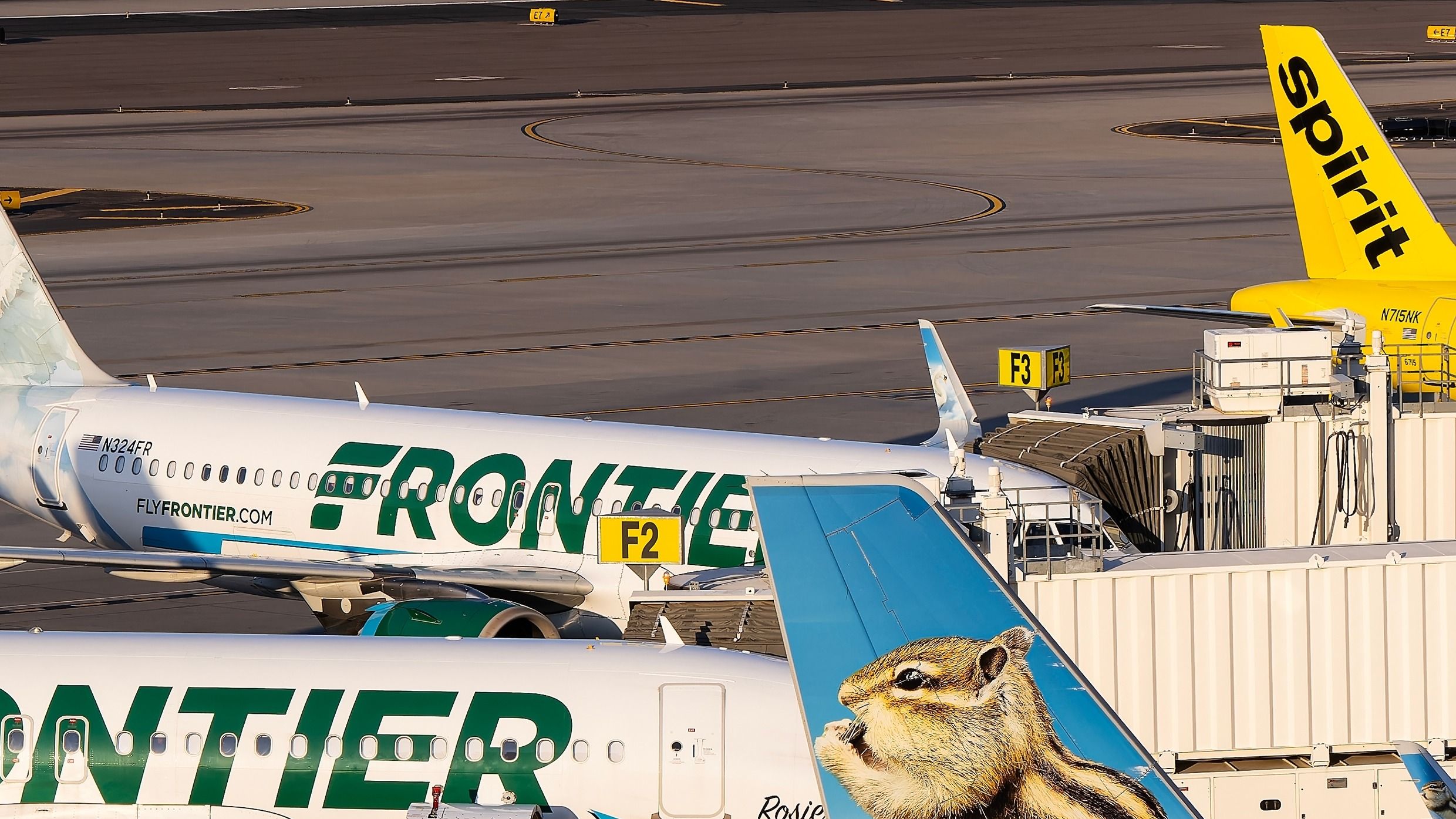 Frontier Airlines aircraft and Spirit Airlines tail in the background at Phoenix Sky Harbor International Airport.